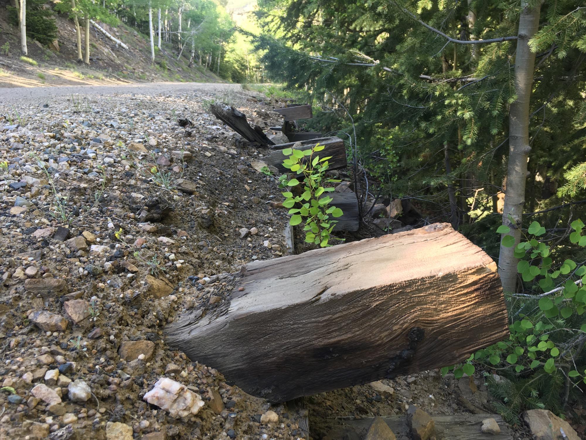 A dirt road bordered by greenery, with a row of weathered wooden logs along the edge and small plants growing among rocks and soil. Sunlight filters through the trees, illuminating the scene with a natural, serene atmosphere. Marshall Pass Road / #200 / #203 / #243 mountain bike trail.
