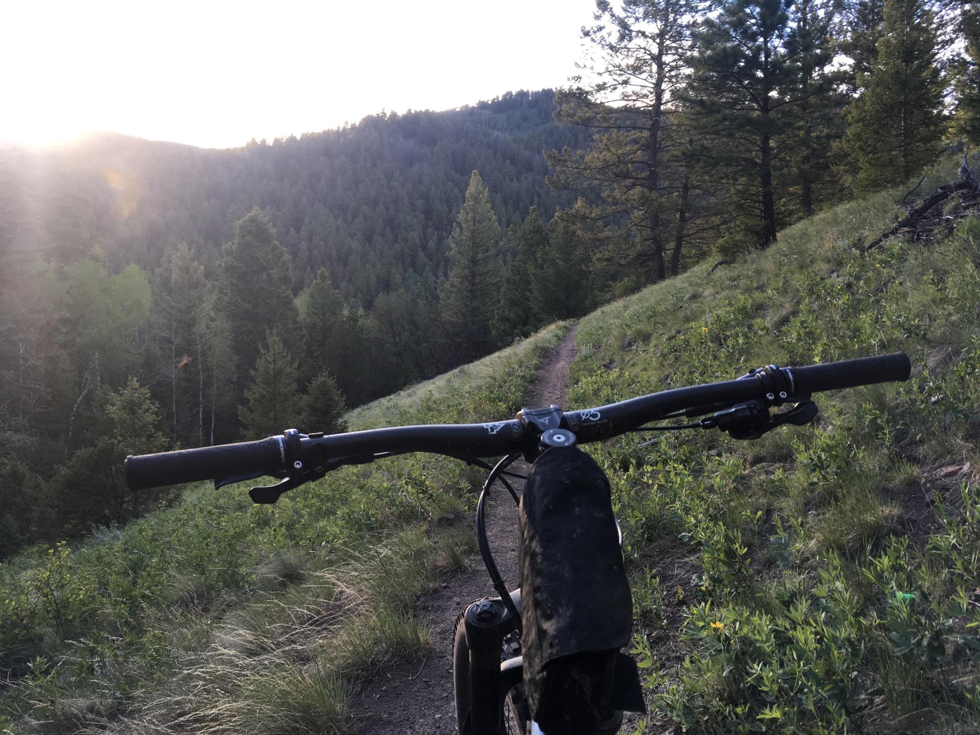 Close-up view of mountain bike handlebars on a narrow, grassy trail surrounded by trees, with a scenic mountain landscape in the background and sunlight filtering through the foliage. Rainbow Trail: Silver Creek to Hwy 285 mountain bike trail.