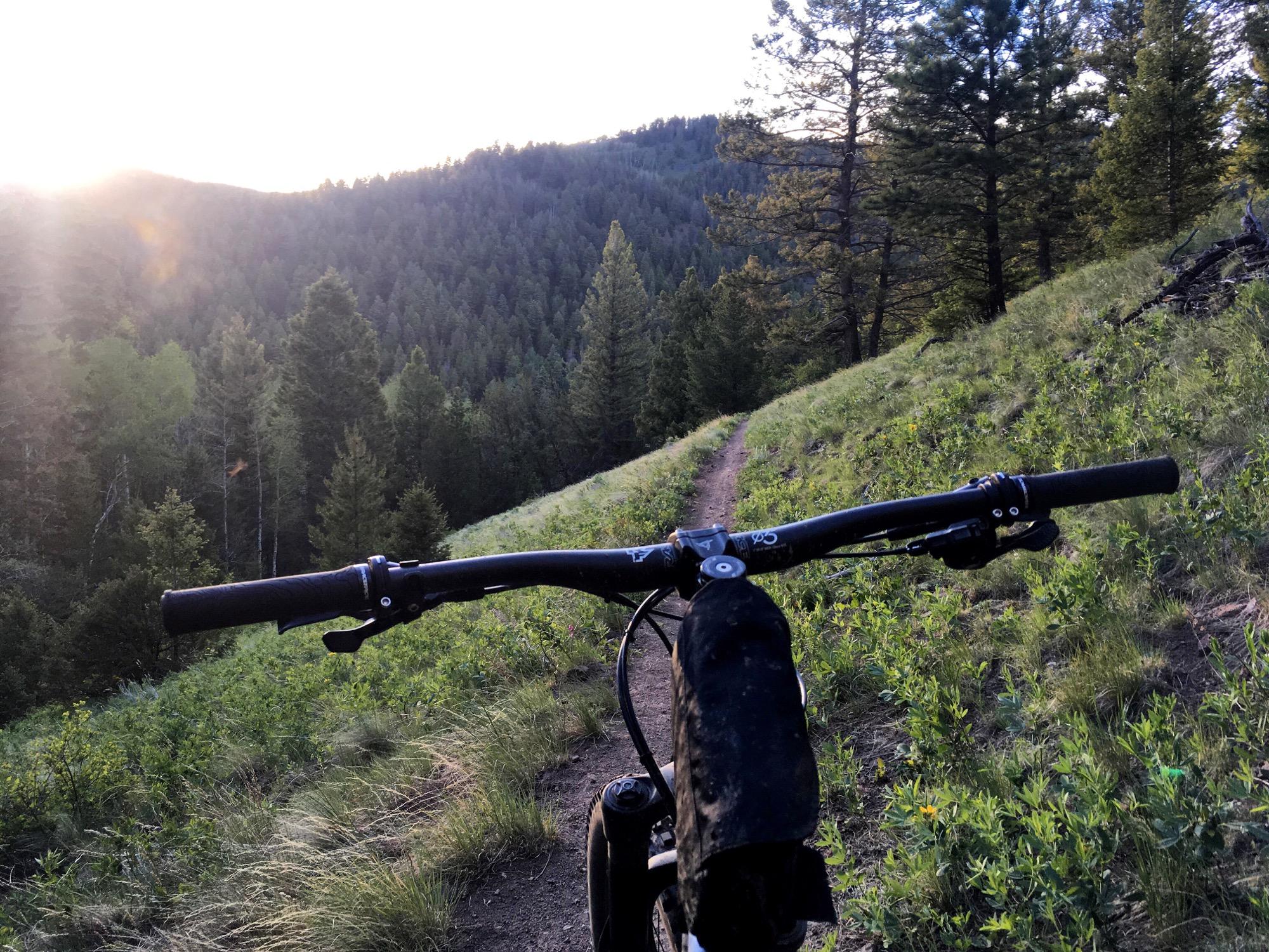 Mountain bike handlebars in the foreground with a scenic view of a forested hillside and sun setting in the background. The trail winds through lush greenery and tall trees, suggesting a peaceful outdoor adventure. Rainbow Trail: Silver Creek to Hwy 285 mountain bike trail.