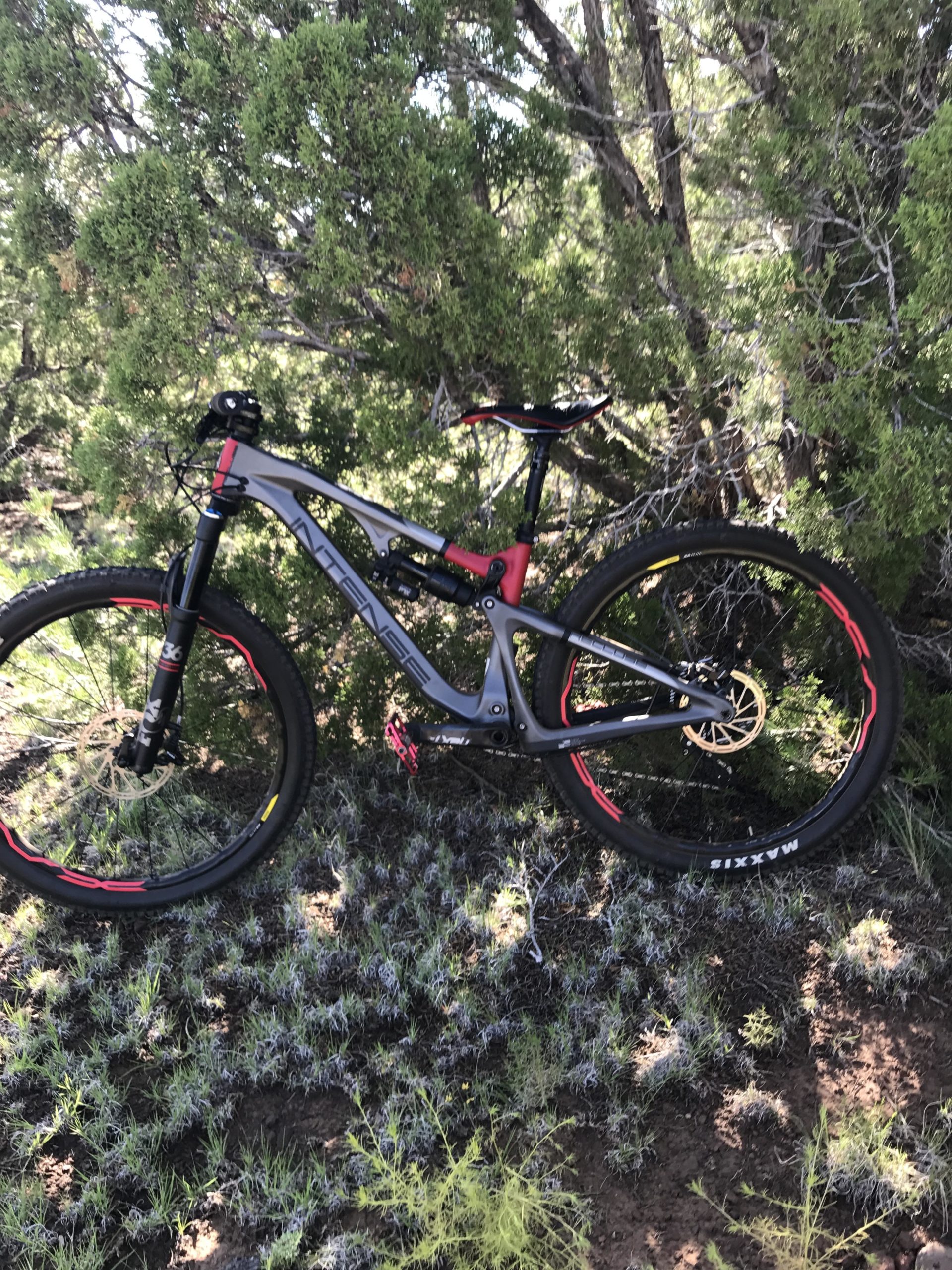 A mountain bike with a gray and red frame is leaned against a bush in a natural outdoor setting, surrounded by greenery and low brush. The bike features thick tires with red accents and is positioned on a patch of ground with sparse grass. Arizona Trail: Flagstaff mountain bike trail.