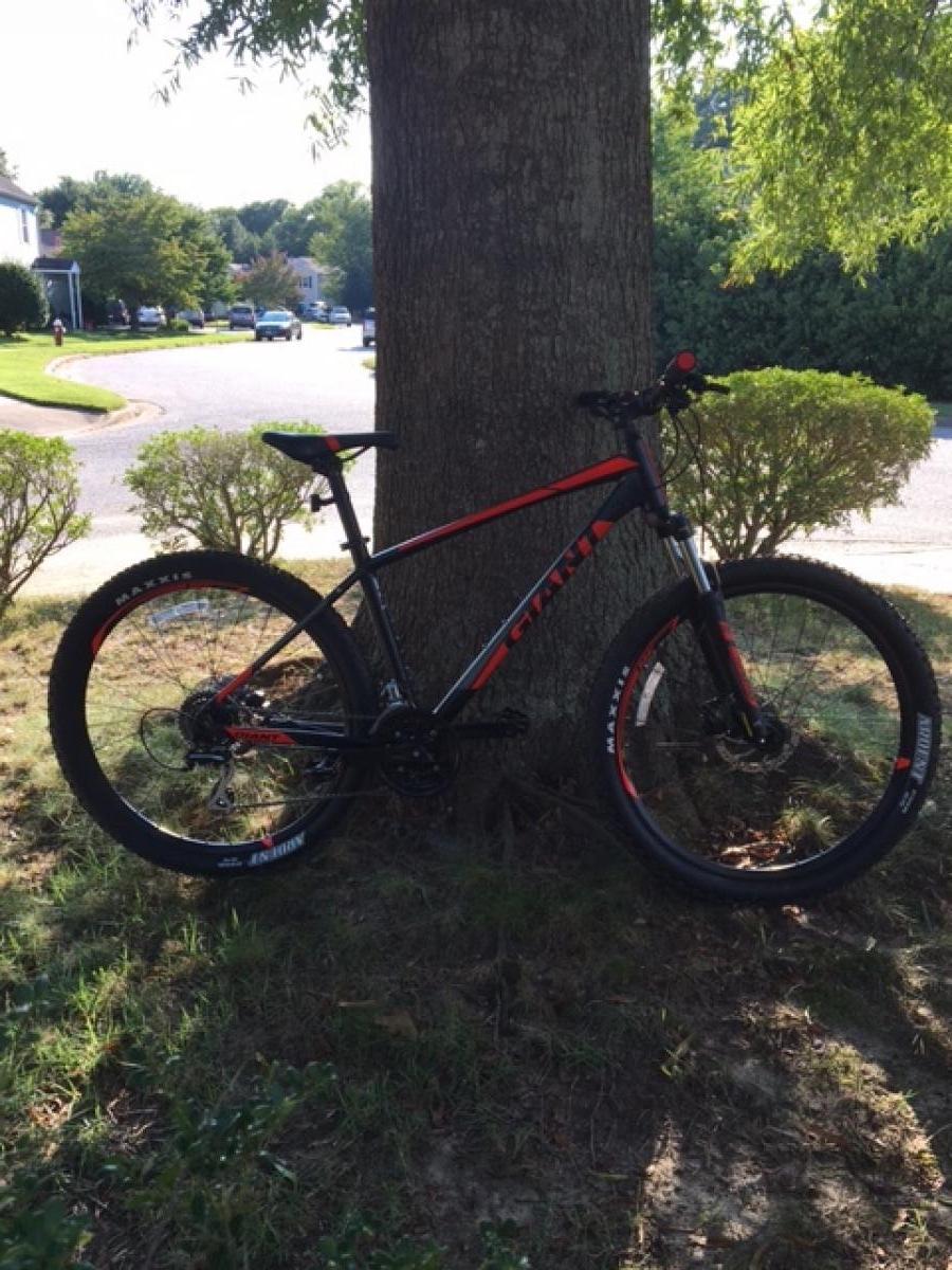 2017 Giant Talon 3: Mountain bike resting against a tree in a suburban area, surrounded by grass and shrubs, with a clear sky in the background.
