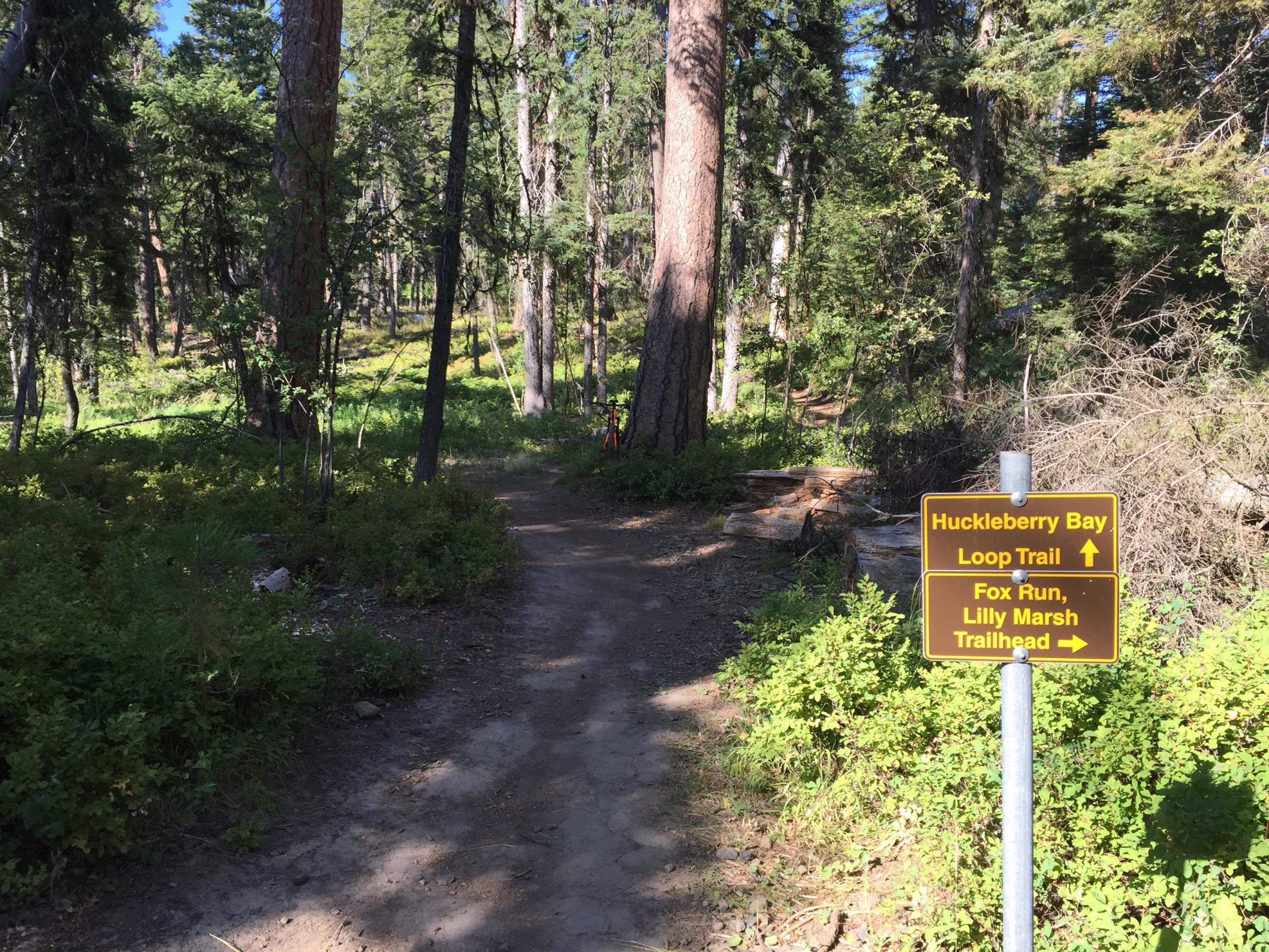 Huckleberry Bay Loop Mountain Bike Trail in McCall, Idaho Directions