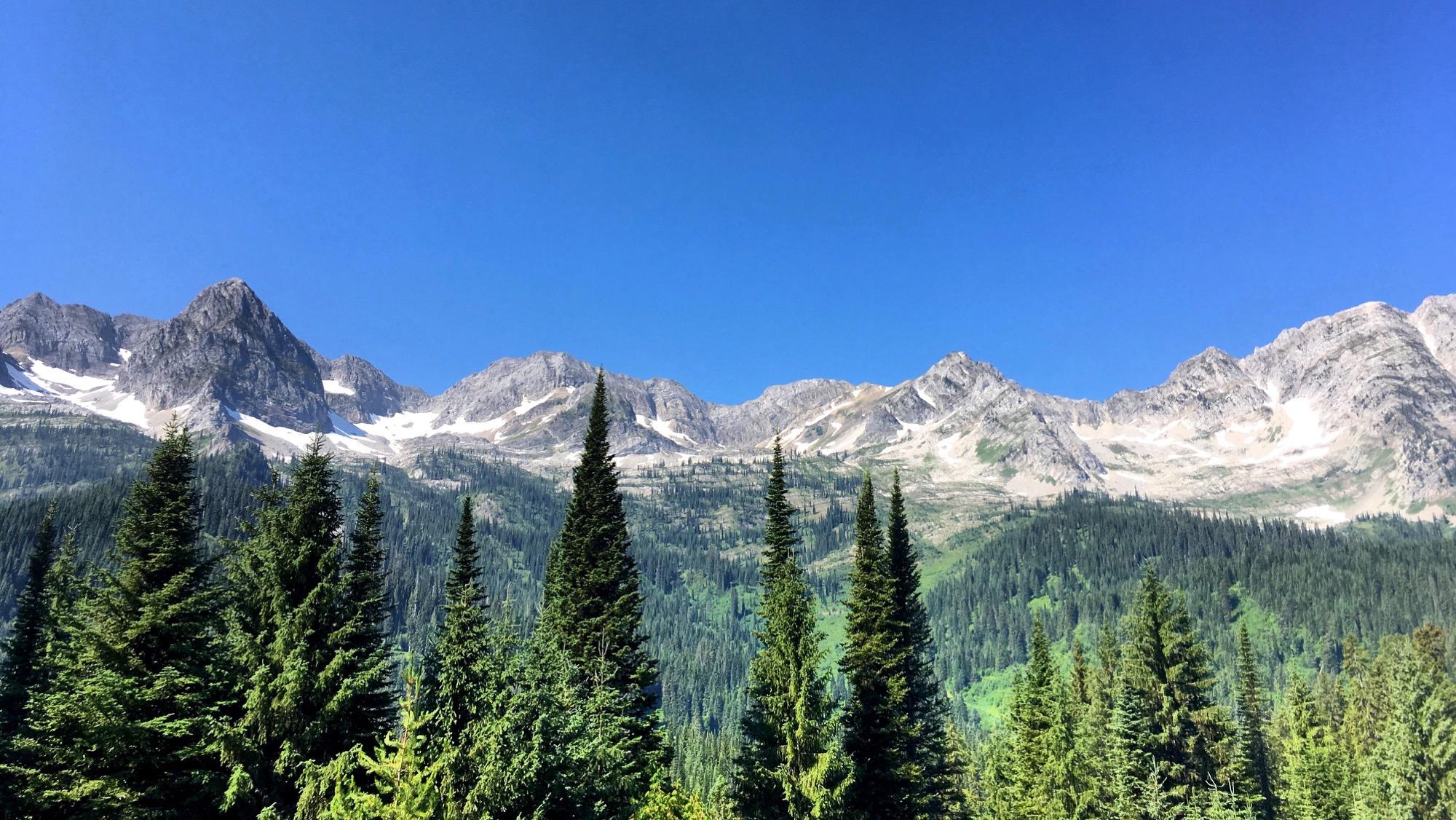 A panoramic view of majestic mountains under a clear blue sky, featuring peaks with patches of snow and a dense forest of evergreen trees in the foreground. Lazy Lizard mountain bike trail.