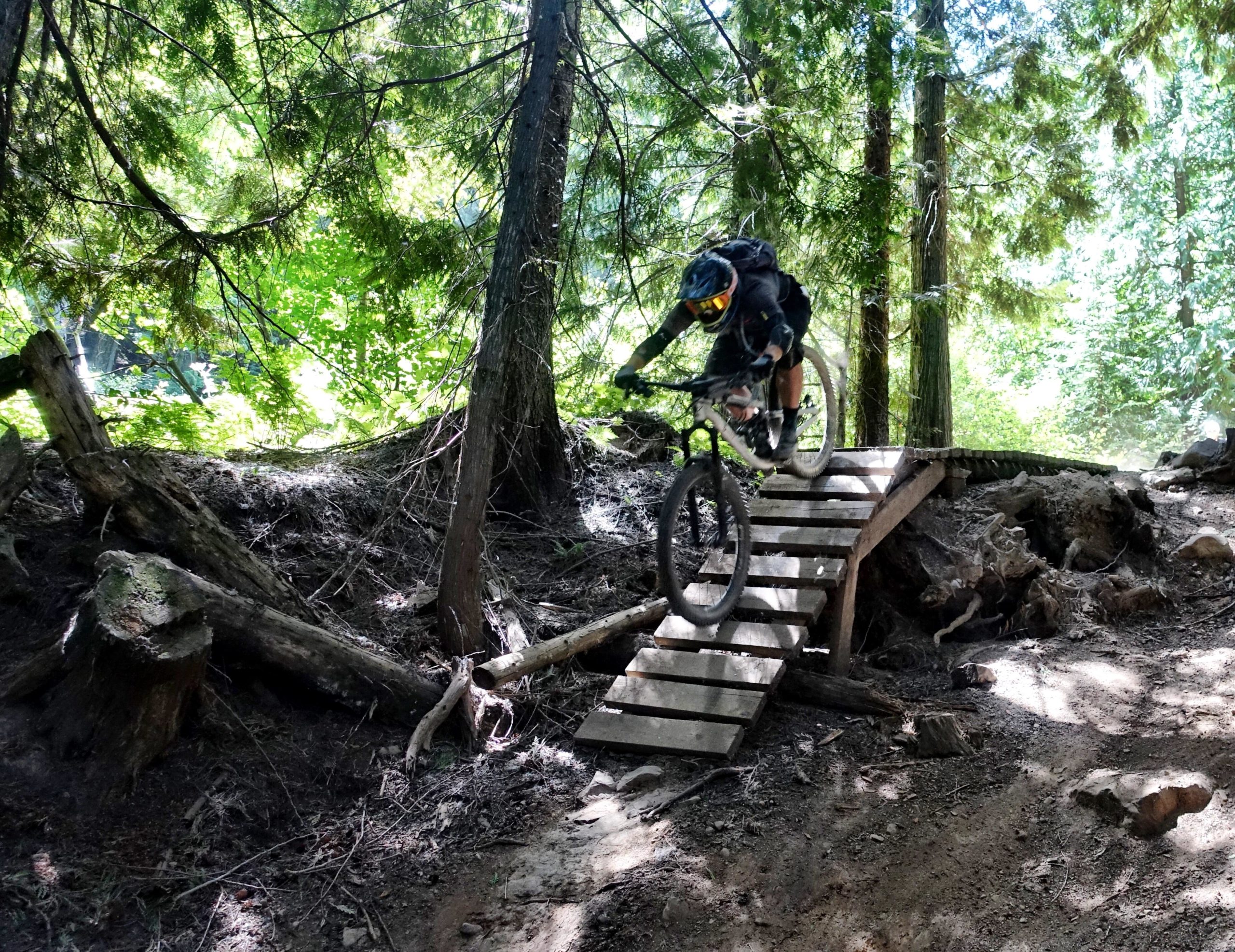 A mountain biker in protective gear jumps off a wooden ramp in a forested area, surrounded by tall trees and greenery. Aggravated Assault mountain bike trail.