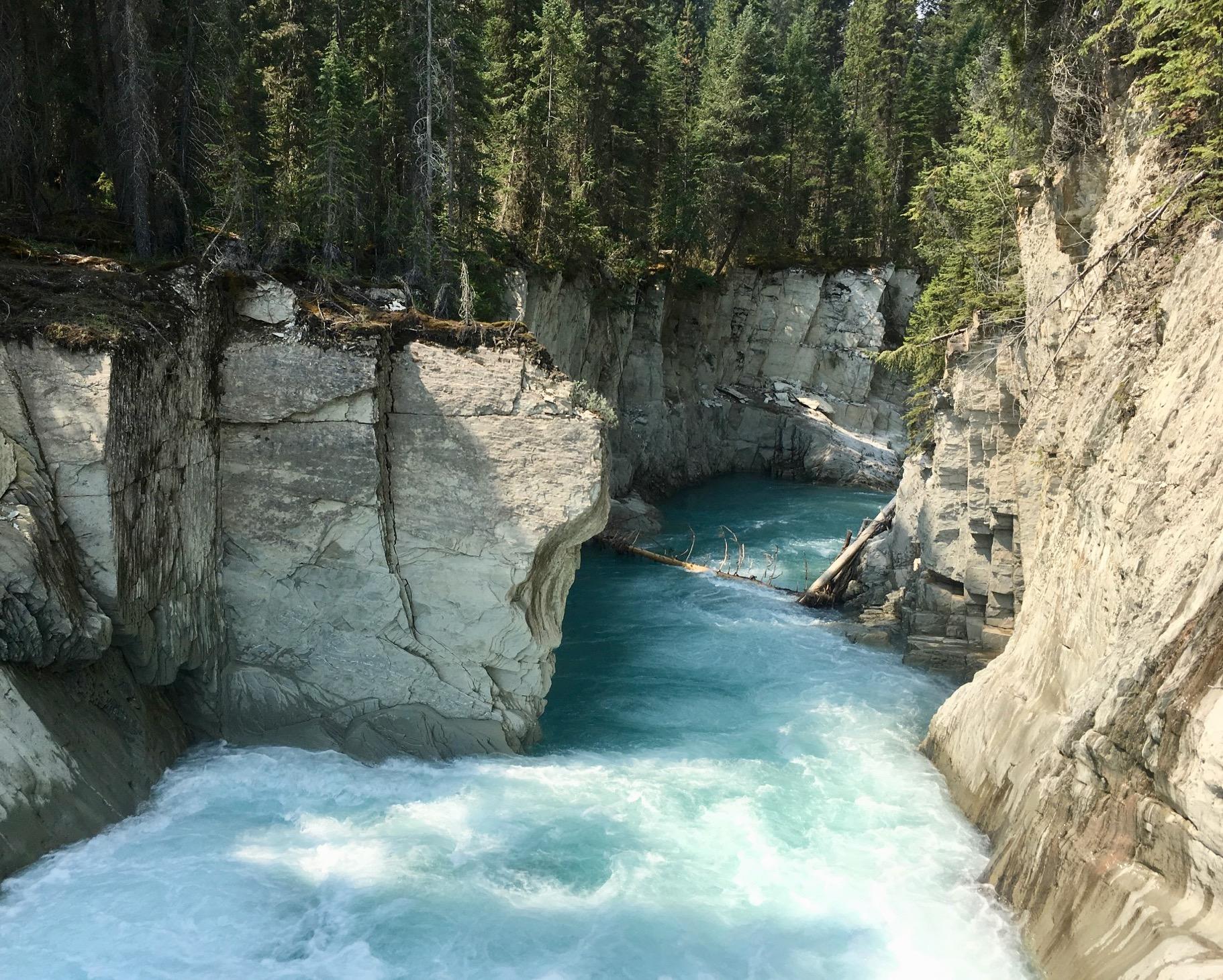 A scenic view of a river flowing between rugged cliffs, surrounded by dense evergreen trees. The water is a vibrant turquoise color, cascading over rocks and creating foam as it moves through a narrow canyon. Sunlight filters through the trees, highlighting the textures of the stone and the natural beauty of the landscape. Nipika Mountain Resort mountain bike trail.