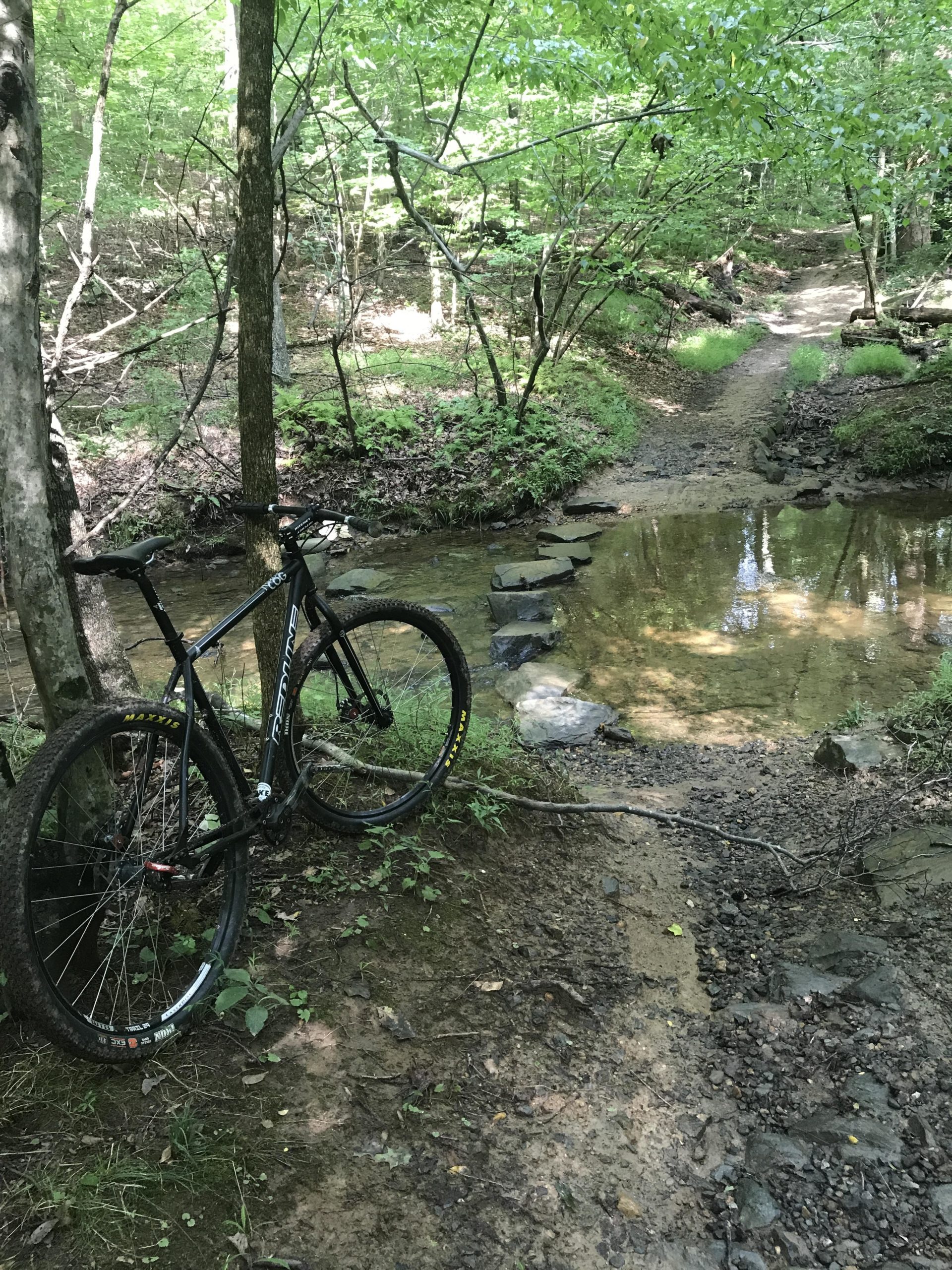 A black mountain bike leans against a tree near a small rocky stream in a wooded area. Sunlight filters through the lush green leaves, illuminating the surrounding nature and creating a peaceful outdoor scene. A dirt path leads off into the background, indicating a trail for biking or hiking. Muddy Branch Greenway Trail mountain bike trail.