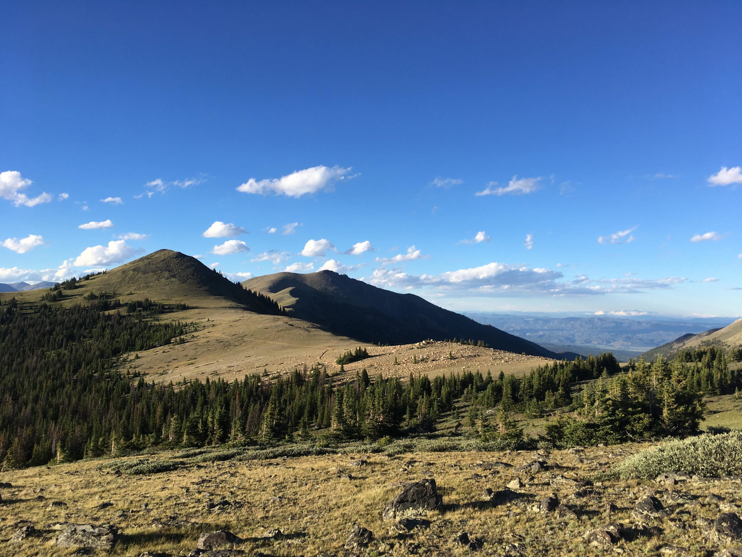 A scenic view of rolling mountains under a clear blue sky, with patches of clouds scattered above. The foreground features a mix of rocky terrain and green coniferous trees, while the distant peaks rise sharply against the horizon, showcasing a natural, tranquil landscape. Monarch Crest Trail mountain bike trail.
