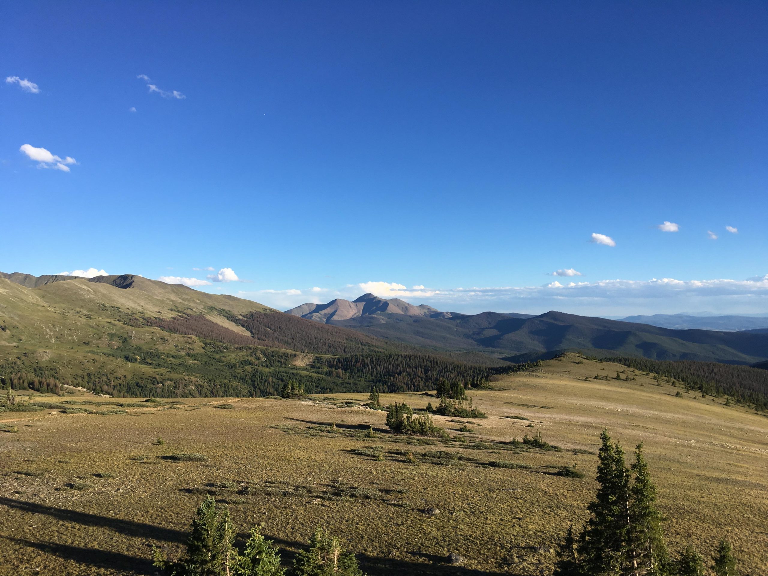 A panoramic view of a mountainous landscape under a clear blue sky, featuring rolling hills, scattered trees, and vibrant greenery. The foreground consists of open fields, while distant peaks rise majestically in the background, showcasing a serene and natural environment. Monarch Crest Trail mountain bike trail.