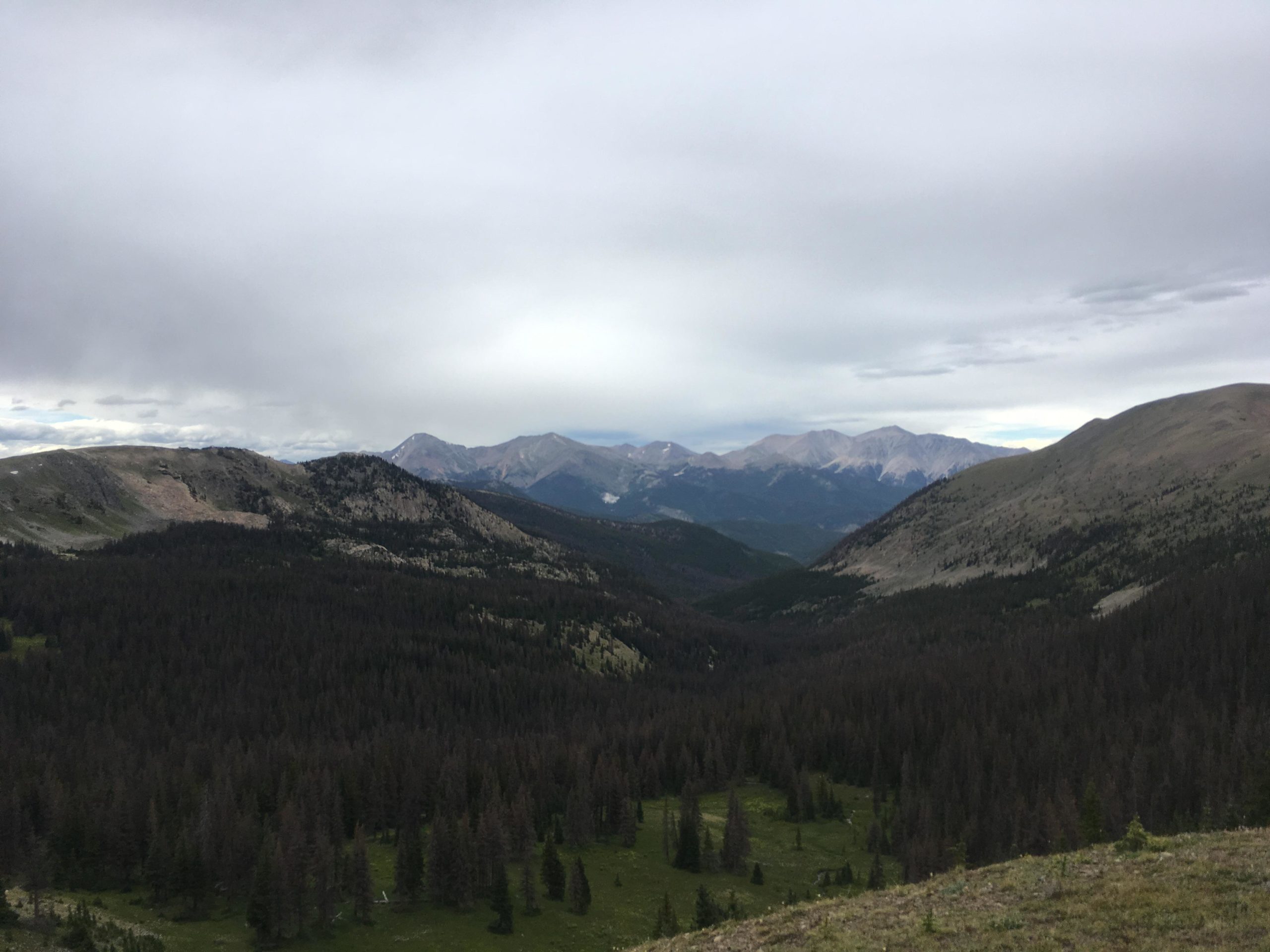 A panoramic view of a mountainous landscape under a cloudy sky, featuring rolling hills, dense evergreen forests, and distant peaks. The scene captures a serene, natural environment, showcasing shades of green in the foreground and grayish tones in the mountains. Monarch Crest Trail mountain bike trail.