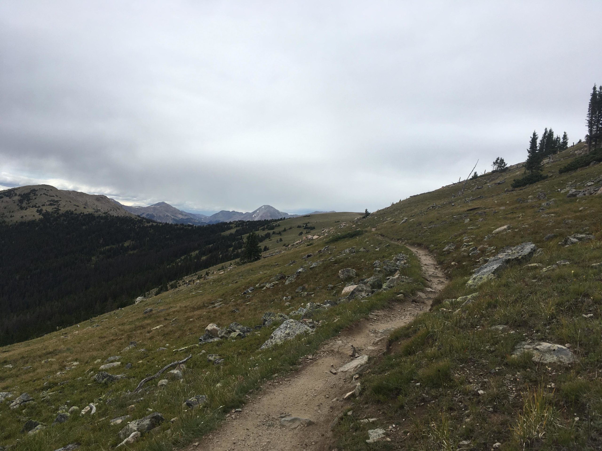 A winding dirt path leads through a grassy hillside, surrounded by rocky outcrops and sparse trees. In the distance, mountains are visible under a cloudy sky. The scene captures the serene beauty of a mountainous landscape, inviting exploration and adventure. Monarch Crest Trail mountain bike trail.