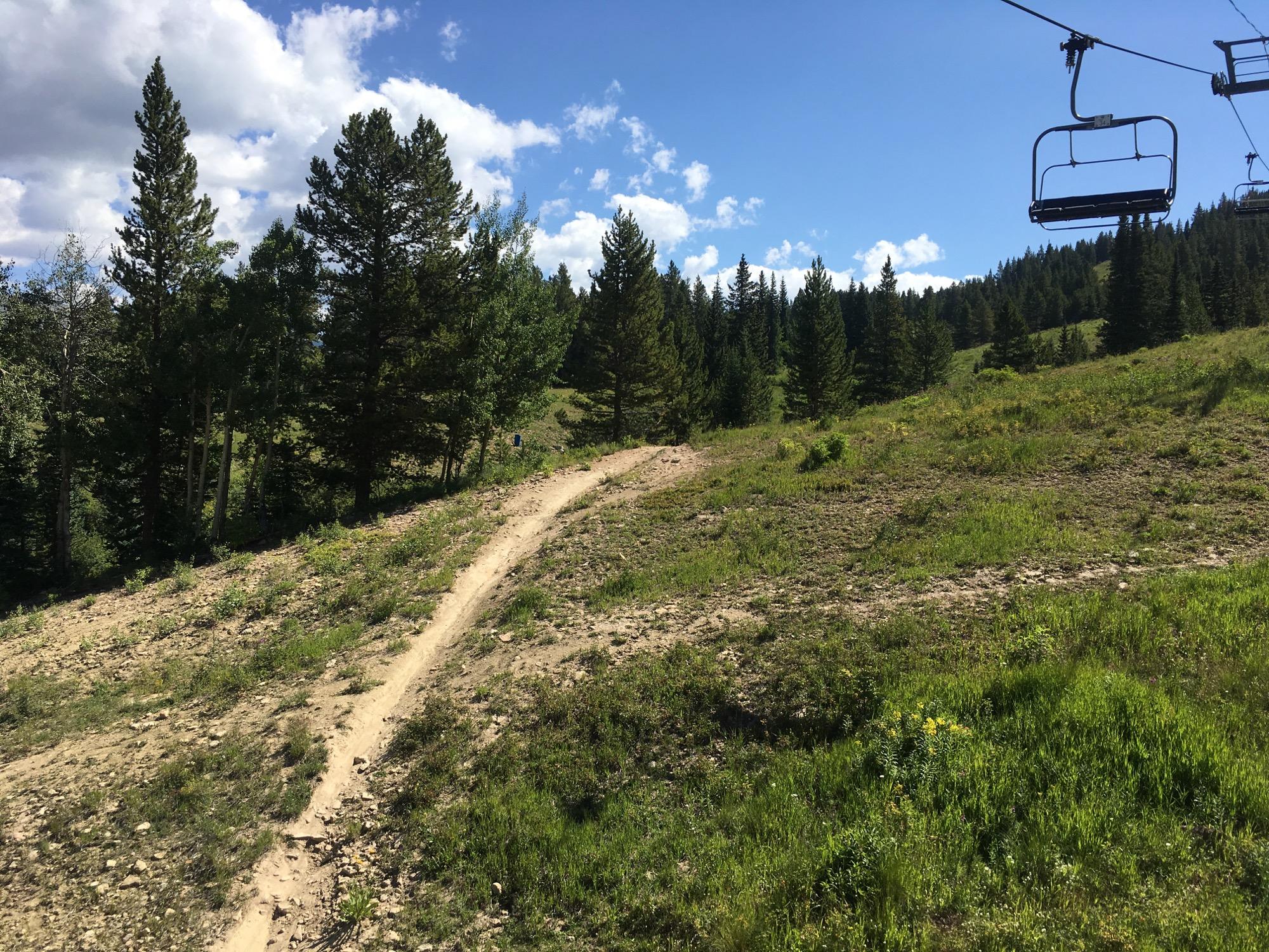 A scenic view of a mountainous landscape featuring a dirt path winding through grassy terrain, surrounded by tall pine trees. Above, a clear blue sky with fluffy white clouds complements the natural setting. In the background, a ski lift can be seen, suggesting a recreational area for outdoor activities. Evolution Bike Park at Crested Butte Mountain Resort mountain bike trail.
