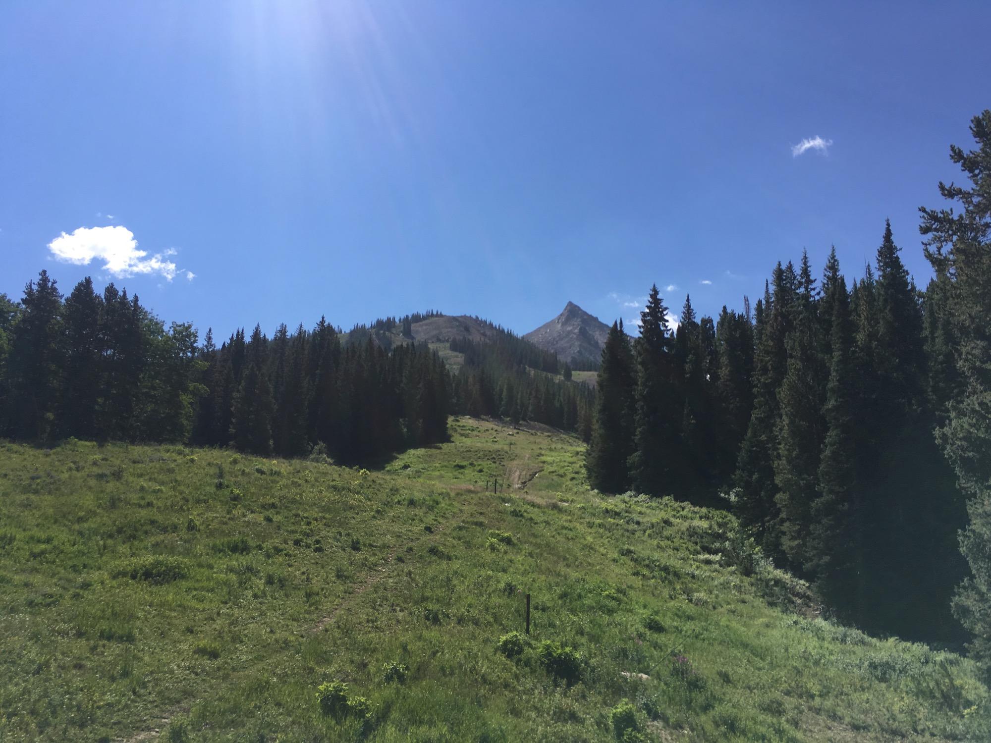 A scenic view of a mountain landscape featuring a clear blue sky with a few clouds. In the foreground, a grassy hillside slopes upward, leading to a backdrop of dense evergreen trees. A prominent peak rises in the distance, surrounded by rolling hills. The image captures the tranquility and natural beauty of an outdoor setting. Evolution Bike Park at Crested Butte Mountain Resort mountain bike trail.