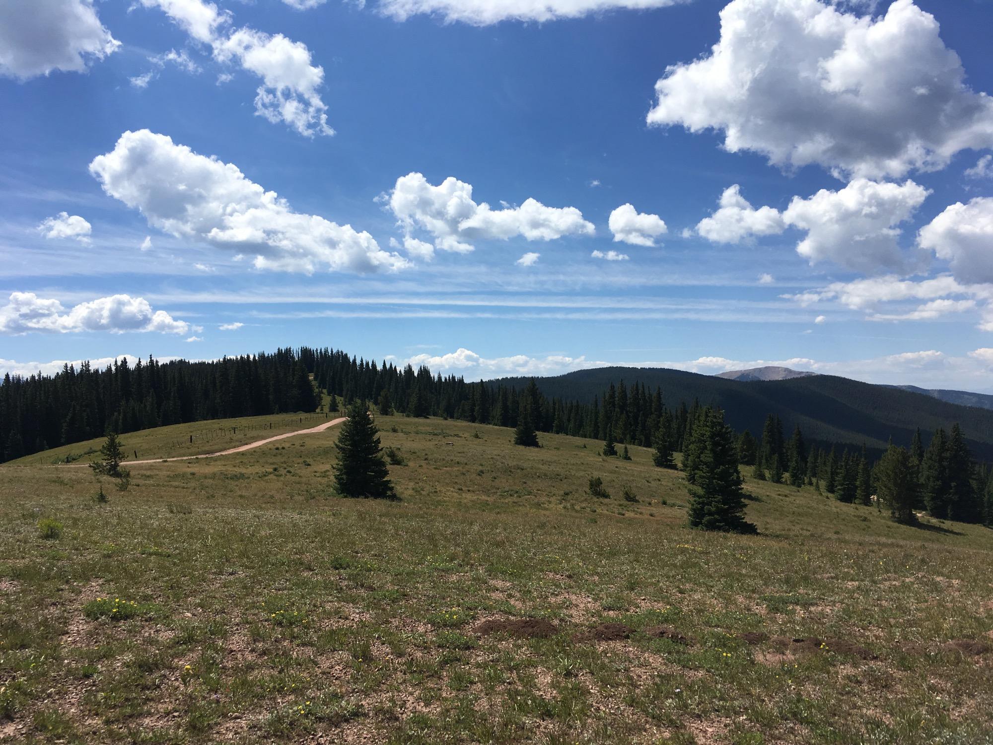 A scenic landscape featuring rolling hills covered in green grass and patches of wildflowers, with a dirt path winding through. In the distance, dense evergreen forests frame the view against a backdrop of blue sky adorned with fluffy white clouds. The horizon showcases mountain ranges under a bright daylight sky. Reno / Flag / Bear / Deadman Loop mountain bike trail.