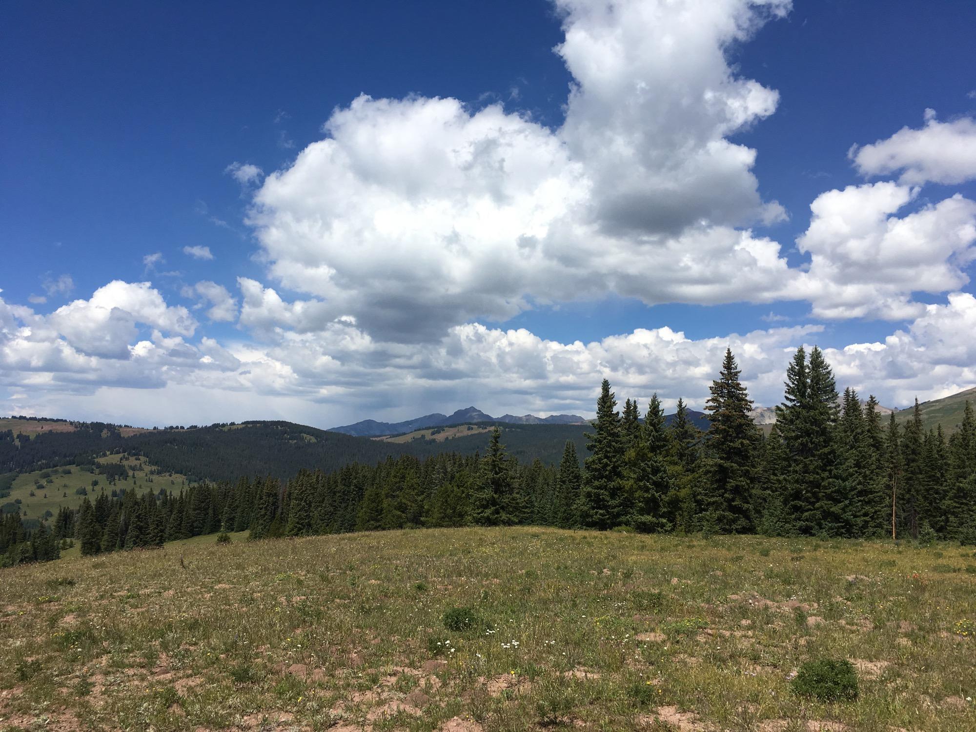 A scenic view of rolling hills and a vast sky filled with puffy white clouds. In the foreground, a grassy meadow with scattered wildflowers leads to a dense line of evergreen trees. The background features a range of mountains under a bright blue sky, creating a serene natural landscape. Reno / Flag / Bear / Deadman Loop mountain bike trail.