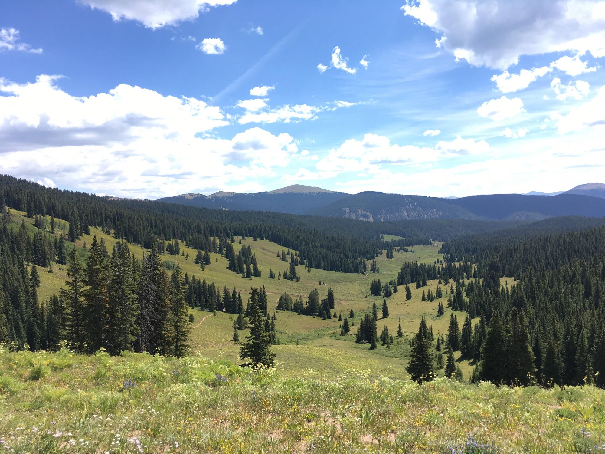 A scenic landscape featuring rolling green hills dotted with coniferous trees under a bright blue sky with fluffy white clouds. The foreground includes a grassy area with wildflowers, while the background showcases distant mountains. The scene conveys a tranquil and picturesque natural setting. Reno / Flag / Bear / Deadman Loop mountain bike trail.