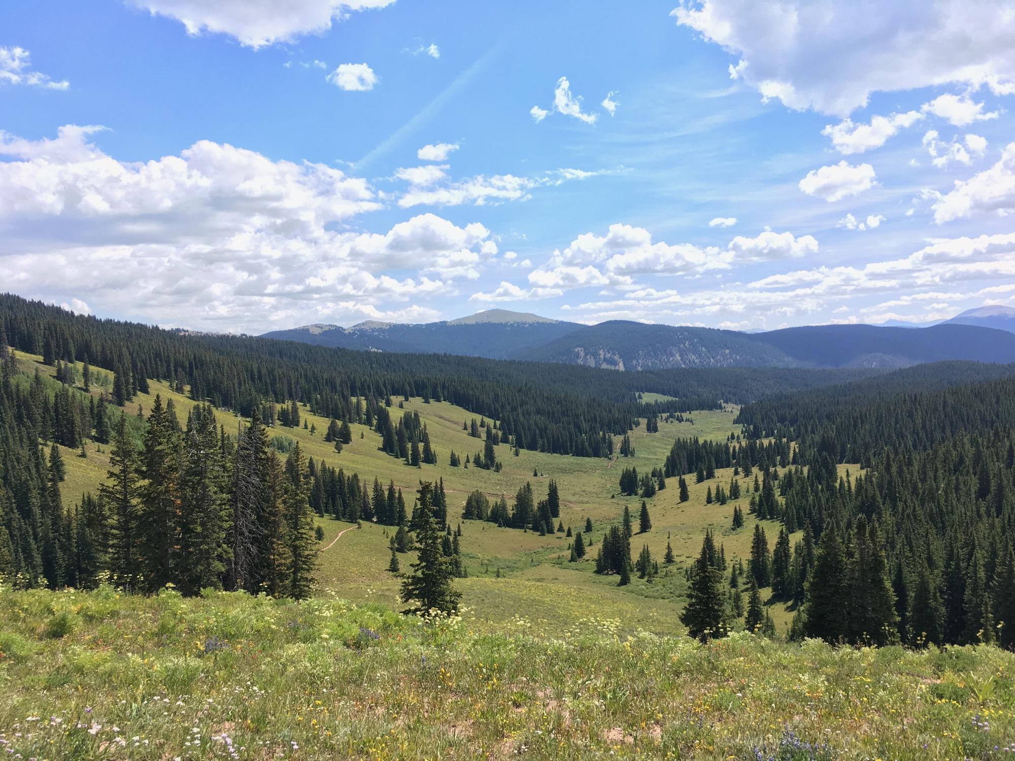 A scenic view of a lush green valley surrounded by dense evergreen trees, under a bright blue sky with fluffy white clouds. The landscape features rolling hills and distant mountains, creating a peaceful natural setting. Wildflowers dot the foreground. Reno / Flag / Bear / Deadman Loop mountain bike trail.
