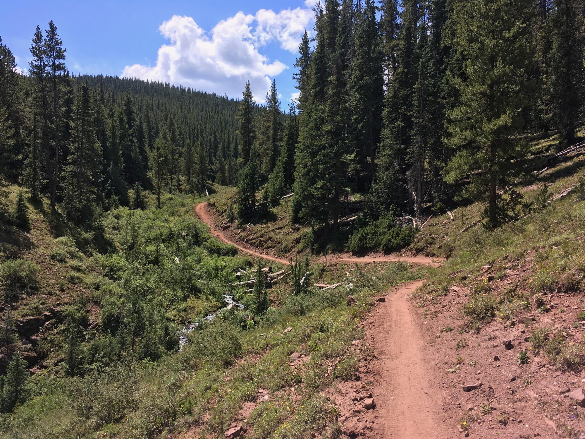 A winding dirt trail traversing a lush green valley surrounded by tall pine trees under a bright blue sky with fluffy clouds. The path curves gently alongside a small, clear creek and leads into the dense forest. Reno / Flag / Bear / Deadman Loop mountain bike trail.