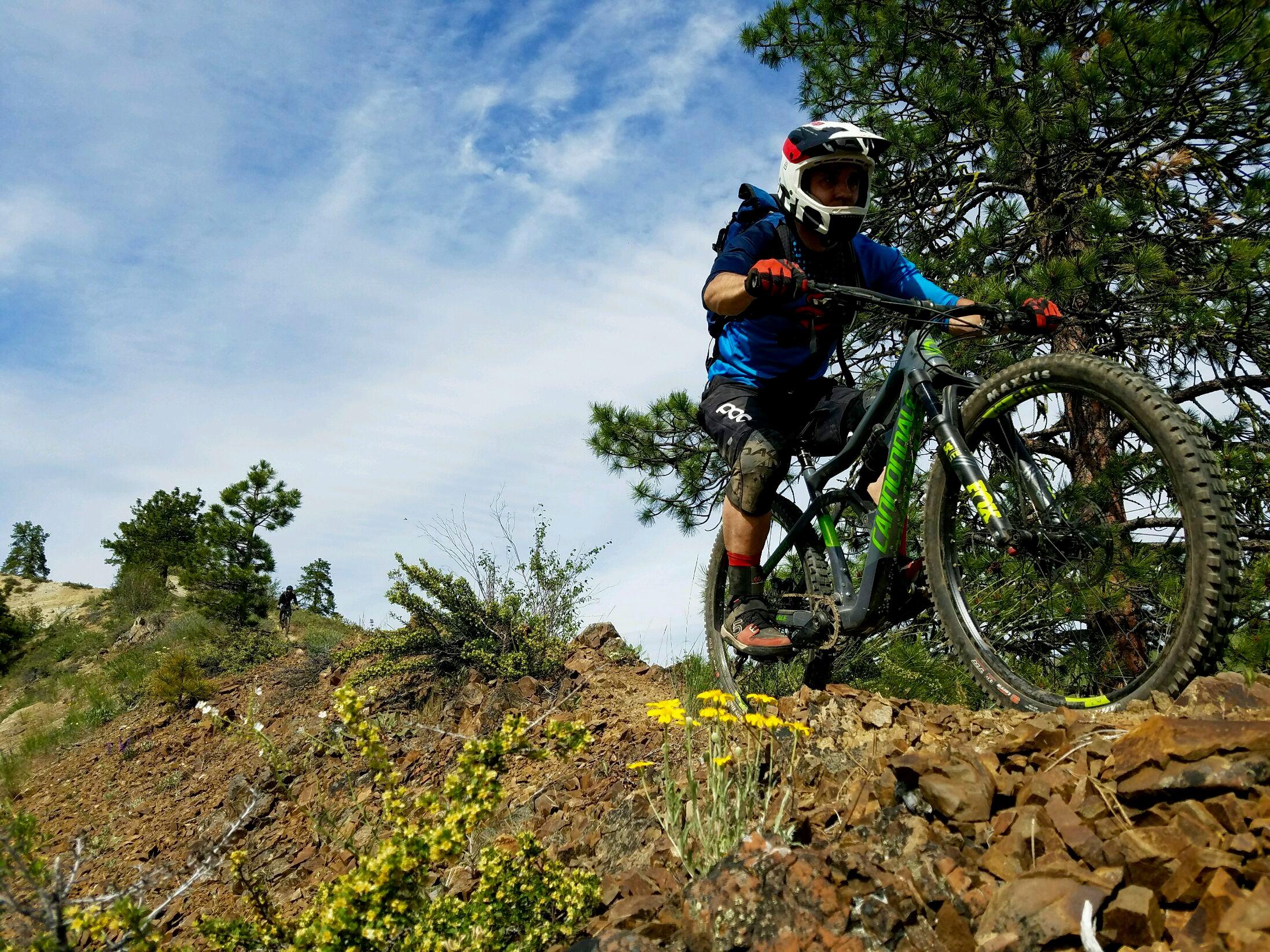 Cannondale Trigger: A mountain biker in a blue shirt and helmet navigates a rocky trail surrounded by trees and wildflowers under a partly cloudy sky.