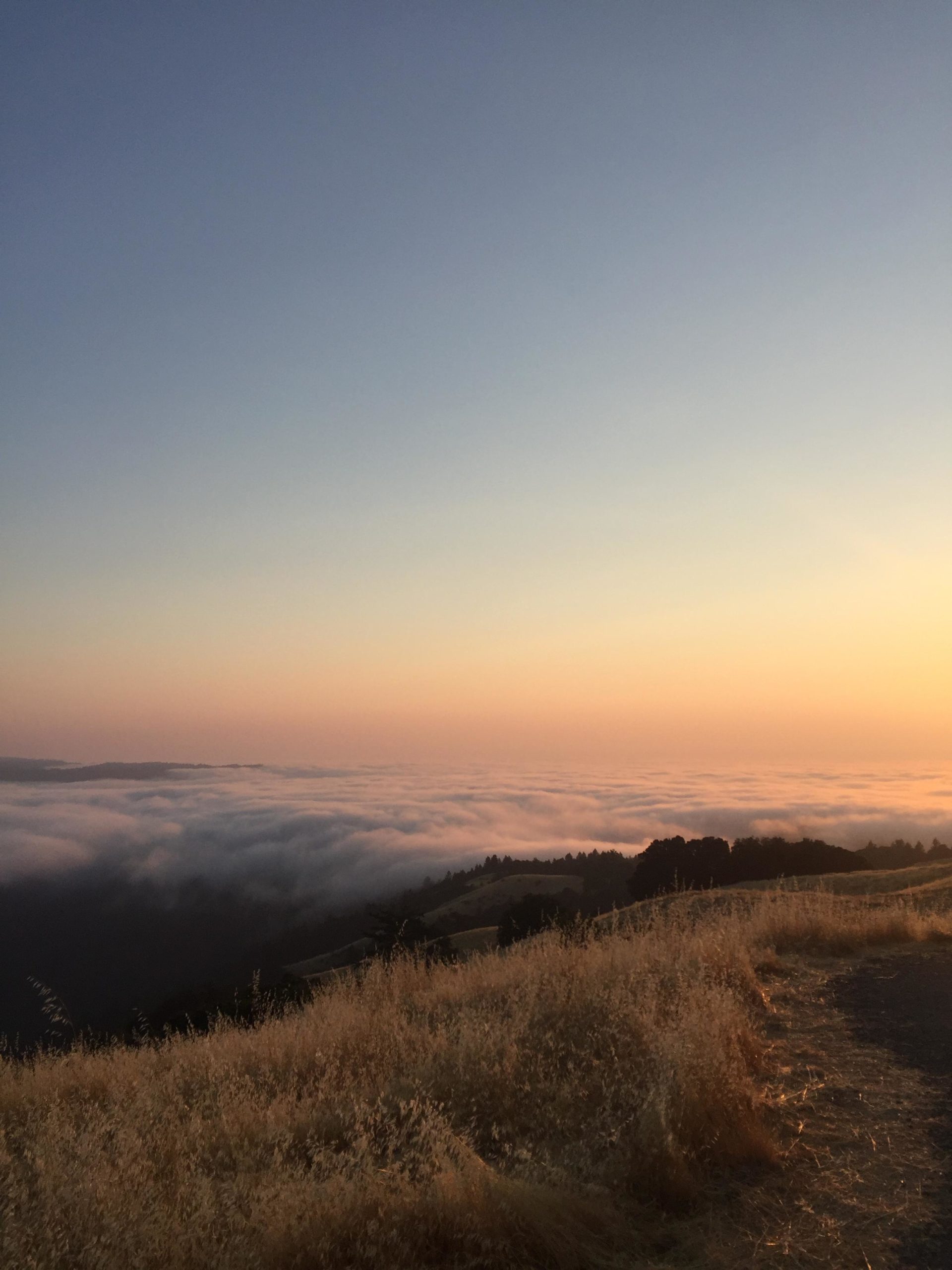 A serene landscape at sunset, showcasing a view of rolling hills covered in a blanket of clouds. The sky transitions from soft hues of orange and pink to deep blue, while the foreground features tall, golden grasses illuminated by the fading light. Saratoga Gap mountain bike trail.