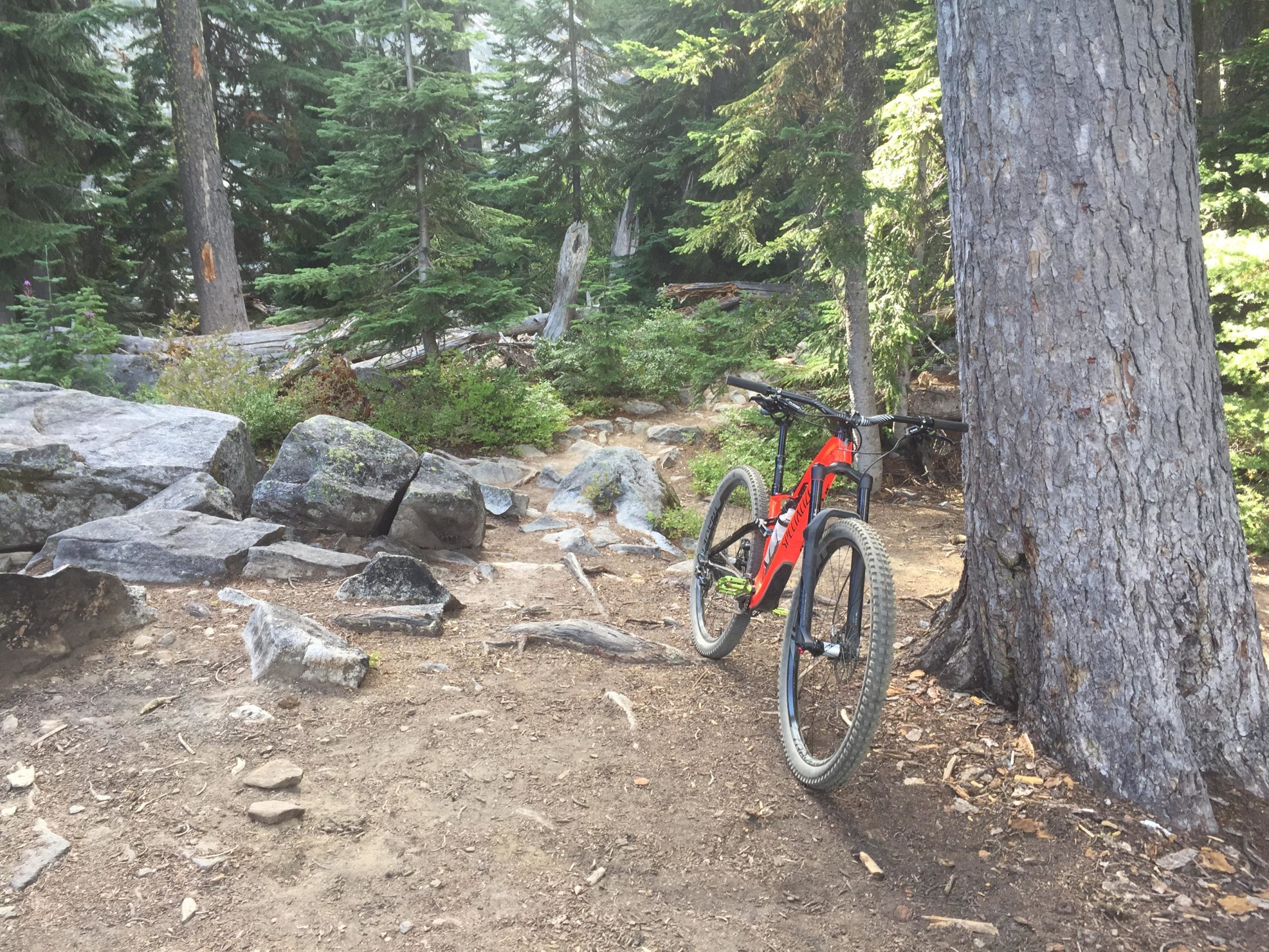 A mountain bike leaning against a tree in a forested area, surrounded by rocks and greenery. The scene captures a natural outdoor environment, showcasing dirt paths, tall trees, and a peaceful atmosphere. Merritt Lake Trail #1588 mountain bike trail.