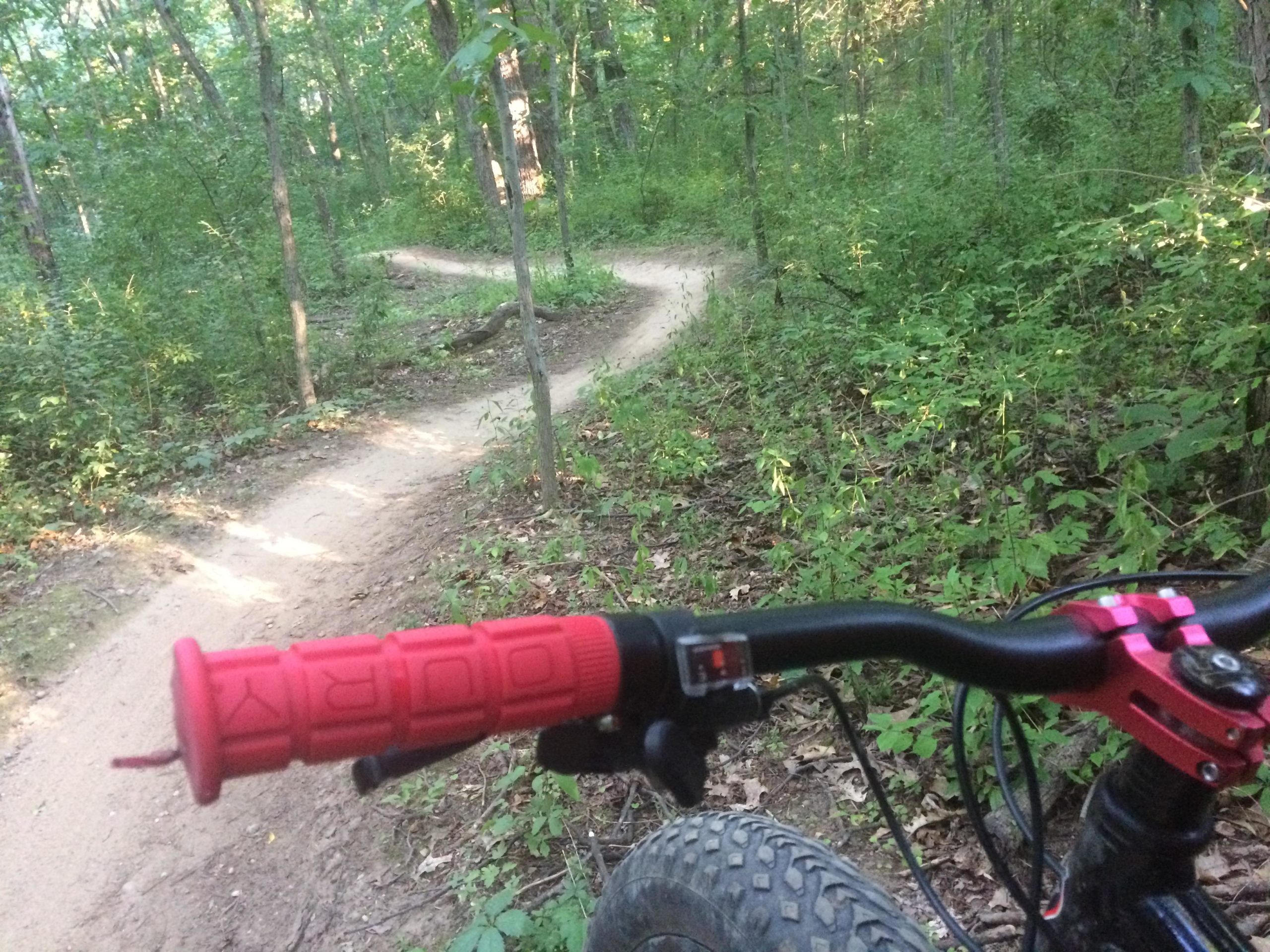Close-up view of a mountain bike handlebar with a red grip, positioned in a wooded area. A winding dirt trail is visible in the background, surrounded by lush green foliage. The image captures the essence of outdoor biking in nature. DTE Energy Foundation Trail mountain bike trail.