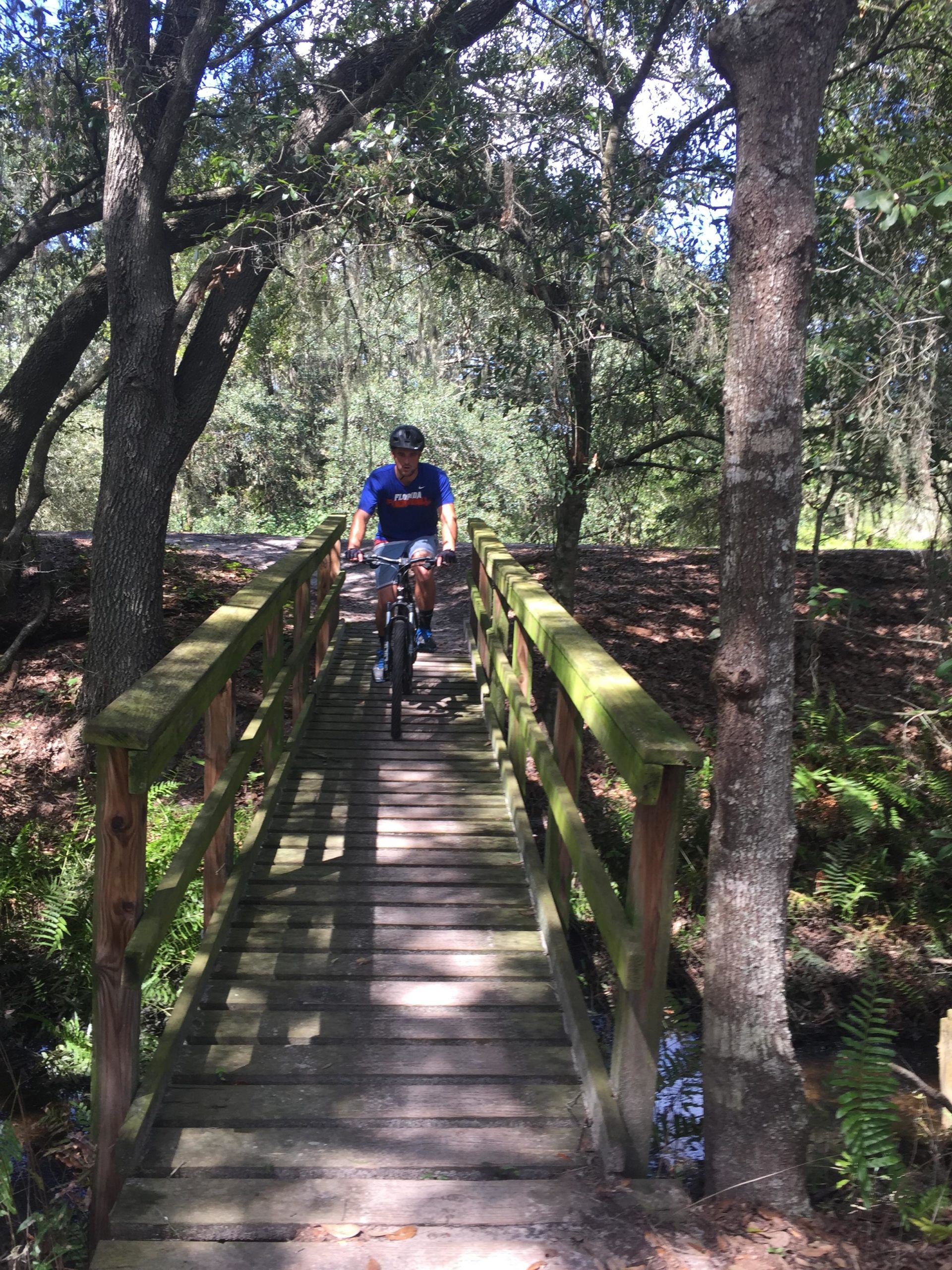A person cycling across a wooden bridge surrounded by trees and greenery, with sunlight filtering through the leaves. The scene depicts a peaceful outdoor setting in nature. Balm Boyette Scrub Preserve mountain bike trail.
