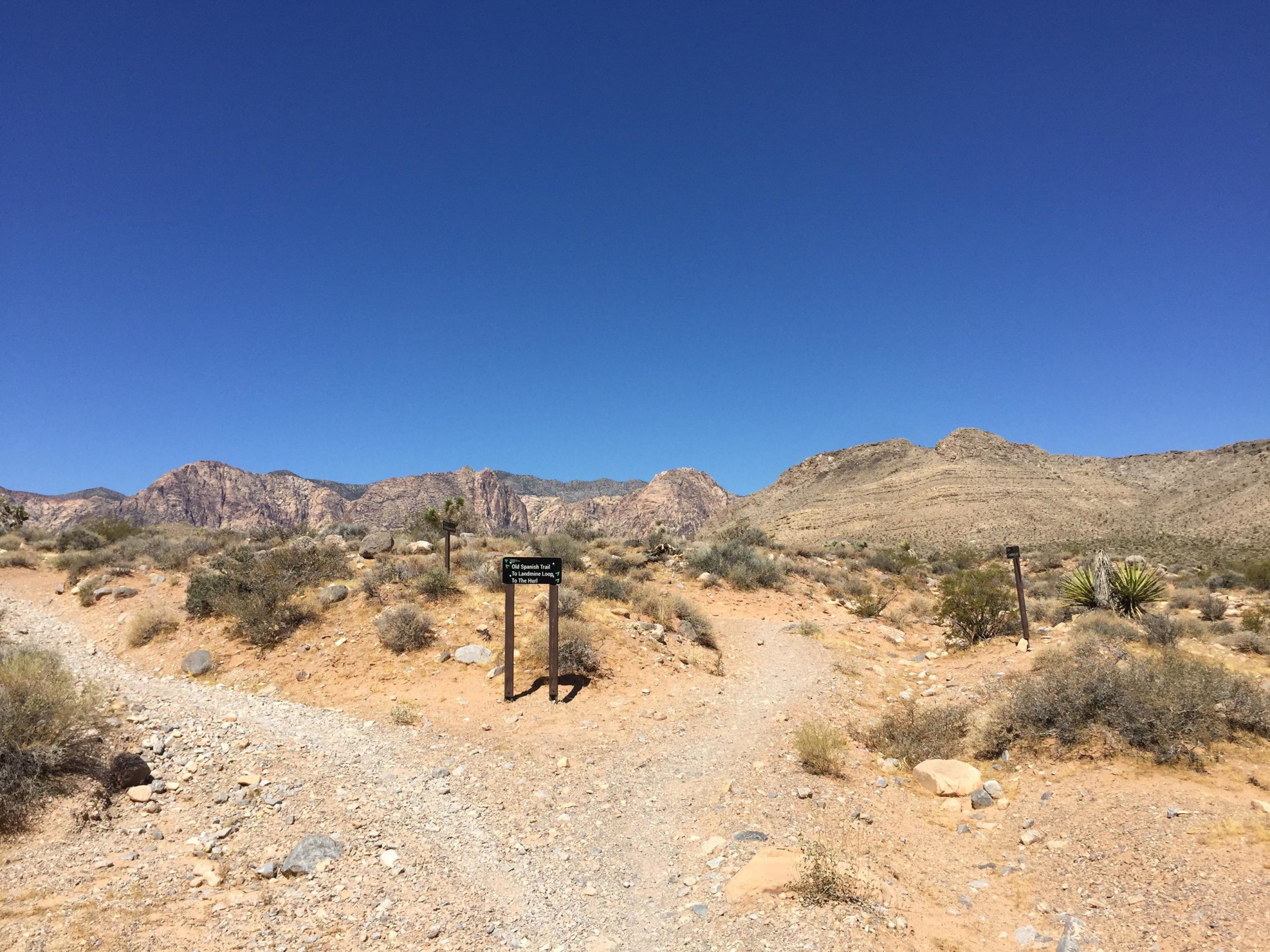 A desert landscape featuring a fork in the path, with a trail sign indicating the direction. Surrounding the trails are rocky terrain and sparse vegetation under a clear blue sky, with mountains in the background. Blue Diamond mountain bike trail.