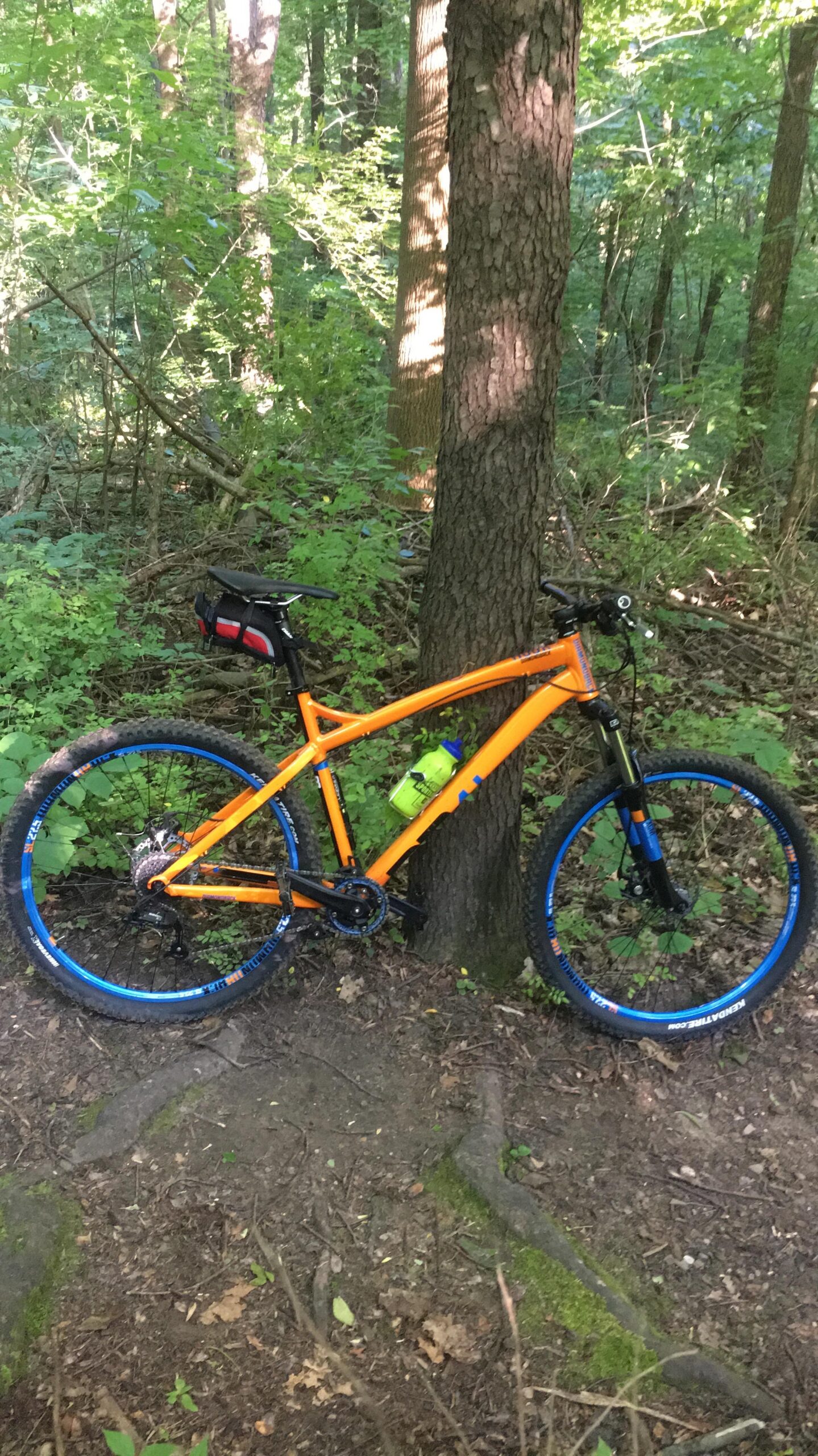 Diamondback Hook: A bright orange mountain bike with blue accents is leaning against a tree in a dense forest. A green water bottle is attached to the bike, and the surrounding area features lush greenery and earthy ground with roots and leaves.