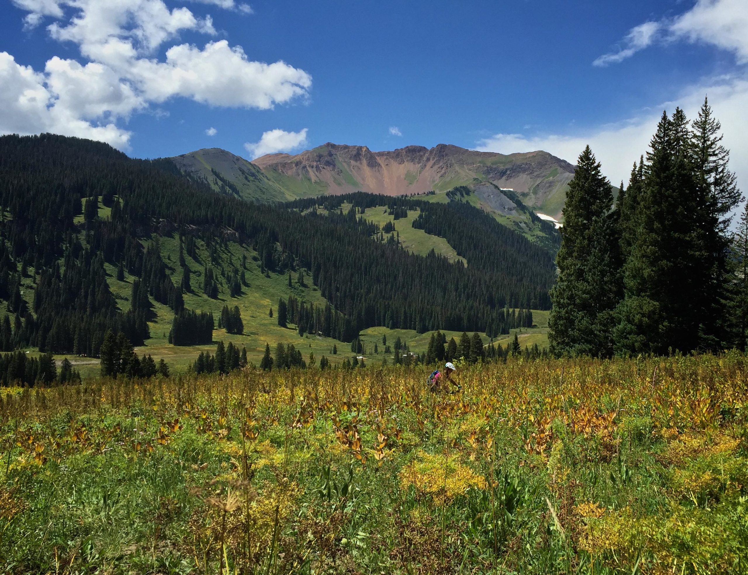 A scenic landscape featuring rolling green hills and tall evergreen trees, set against a backdrop of rugged mountains under a bright blue sky with scattered clouds. A person can be seen walking through a field of grass and wildflowers, enjoying the natural beauty of the outdoors. Trail 401 mountain bike trail.