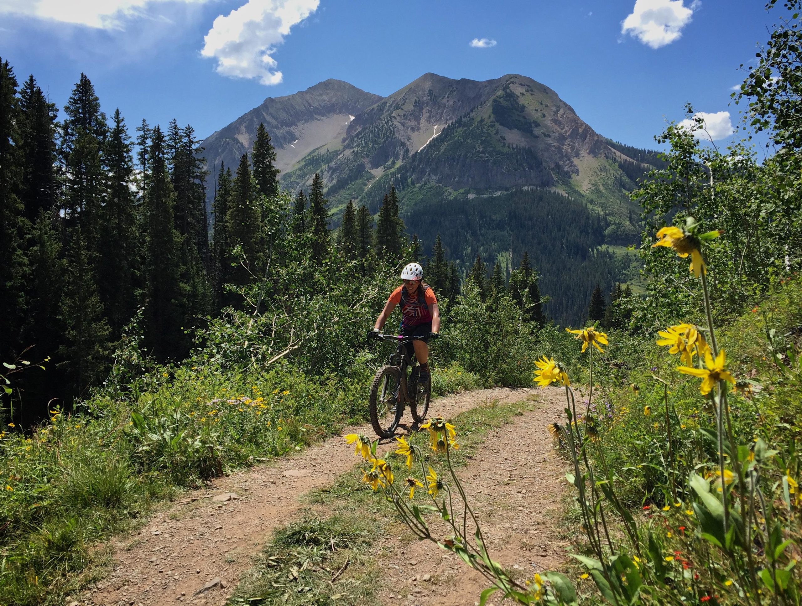 A mountain biker rides along a rugged dirt trail surrounded by vibrant wildflowers and dense trees, with a striking mountain range visible in the background under a clear blue sky dotted with clouds. Trail 401 mountain bike trail.