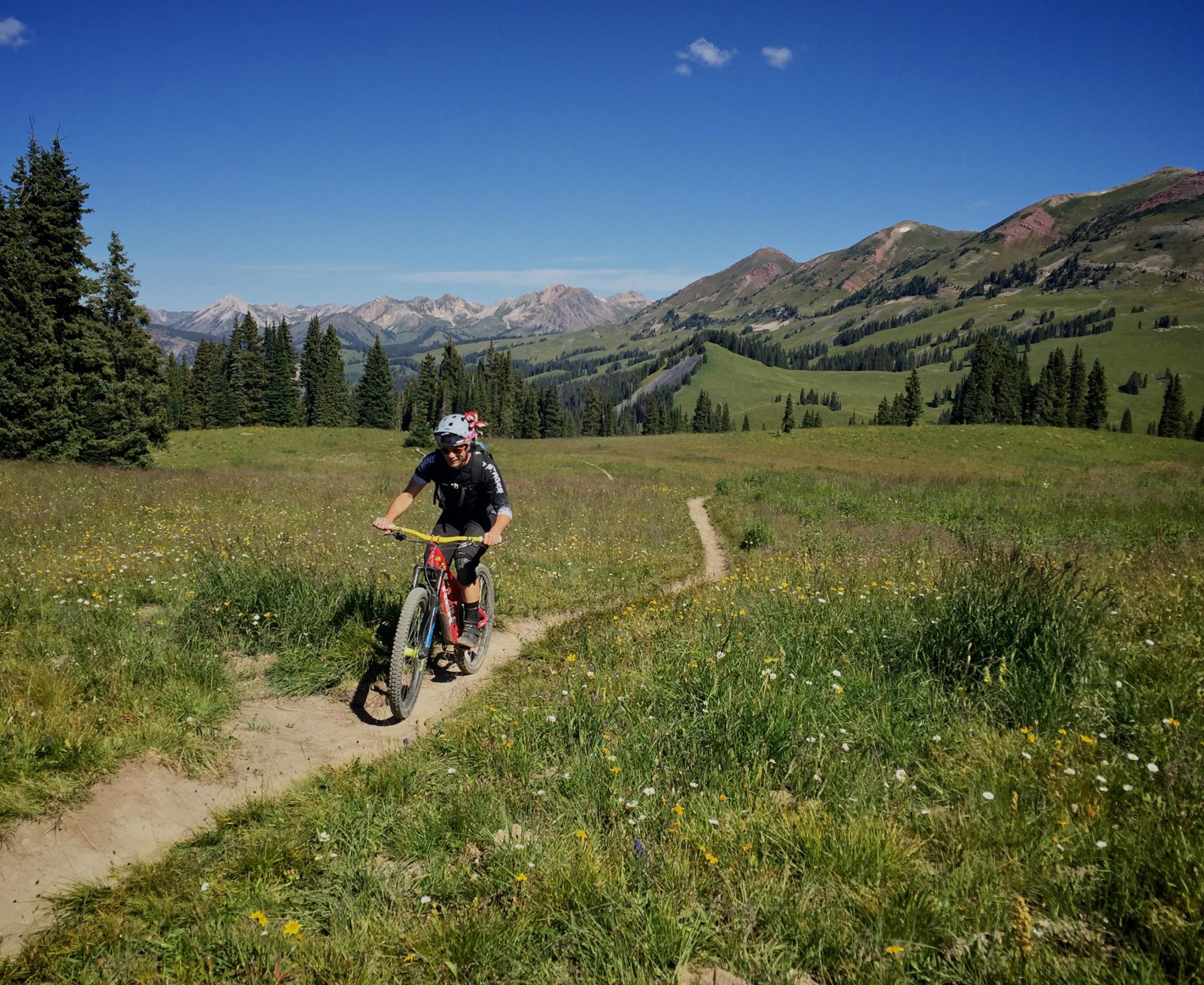 A mountain biker riding along a dirt trail through a lush green meadow adorned with wildflowers, set against a backdrop of rolling hills and snow-capped mountains under a clear blue sky. Trail 401 mountain bike trail.