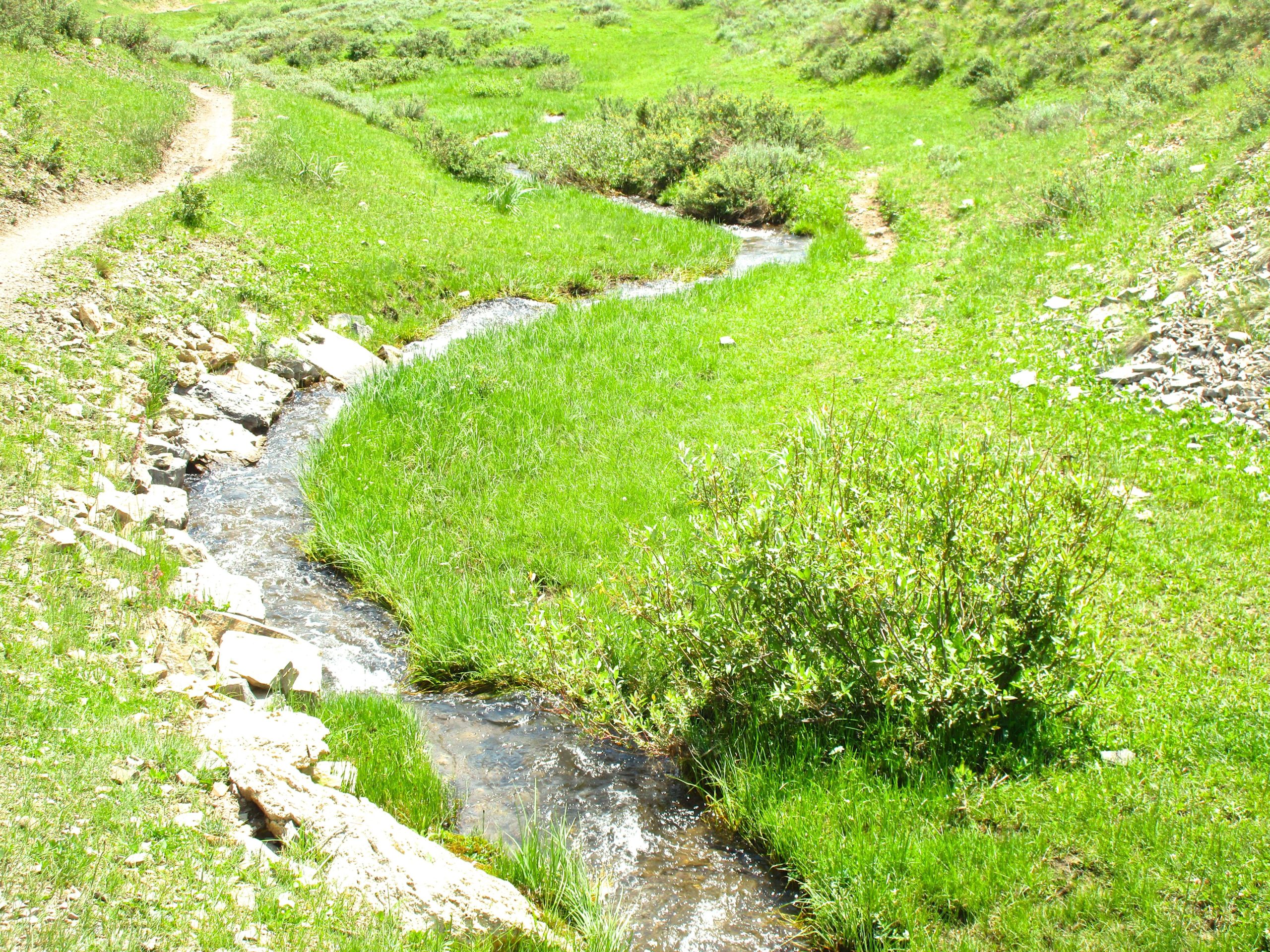 A winding stream flows through a lush, green landscape, bordered by small rocks and vibrant grass. A dirt path runs alongside the stream, inviting exploration of the serene natural surroundings. Reno / Flag / Bear / Deadman Loop mountain bike trail.
