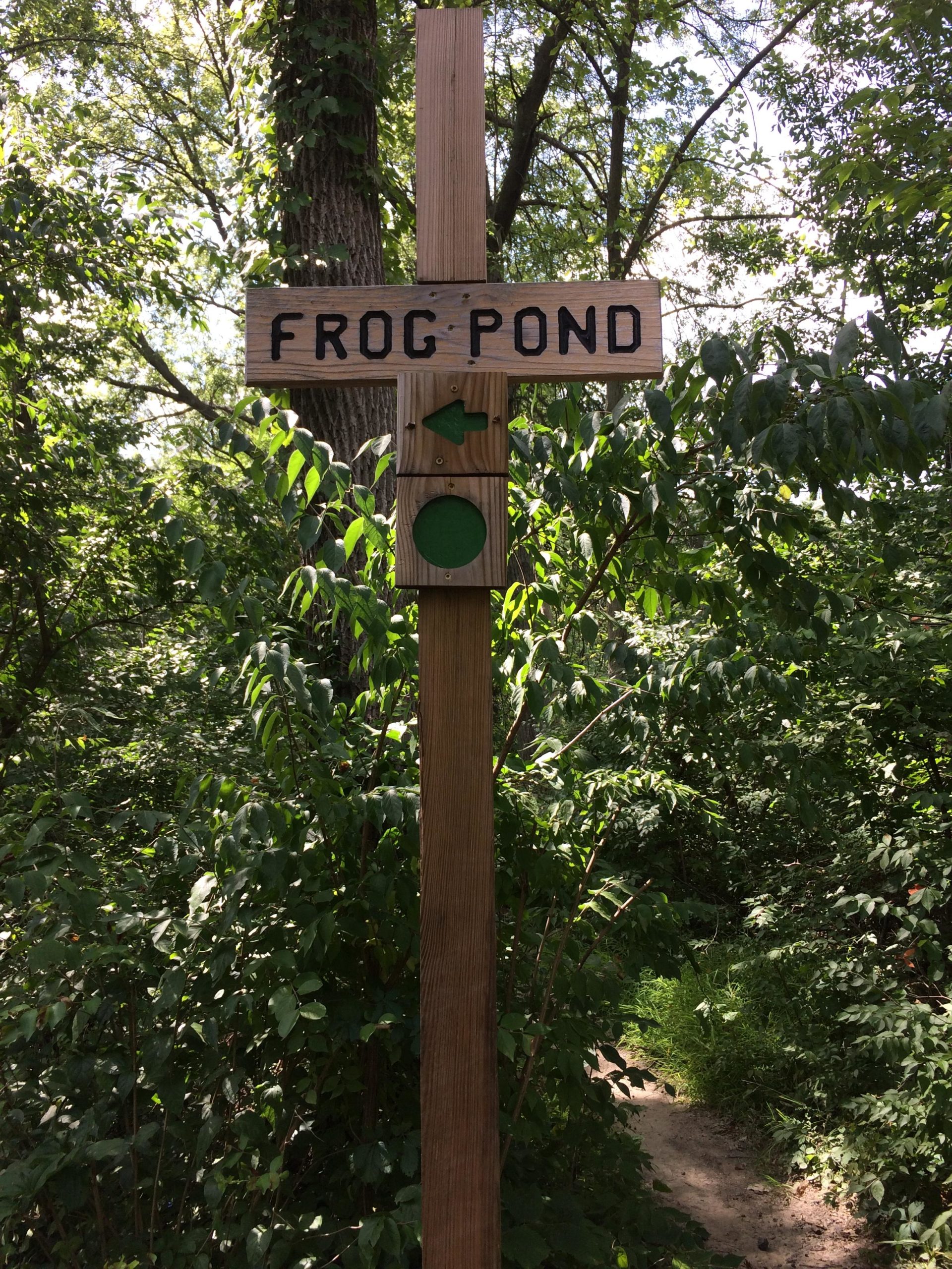 A wooden signpost labeled "Frog Pond" with an arrow pointing left, surrounded by lush greenery and trees. A green circle is located below the sign, indicating a trail leading into the woods. Franke Park mountain bike trail.