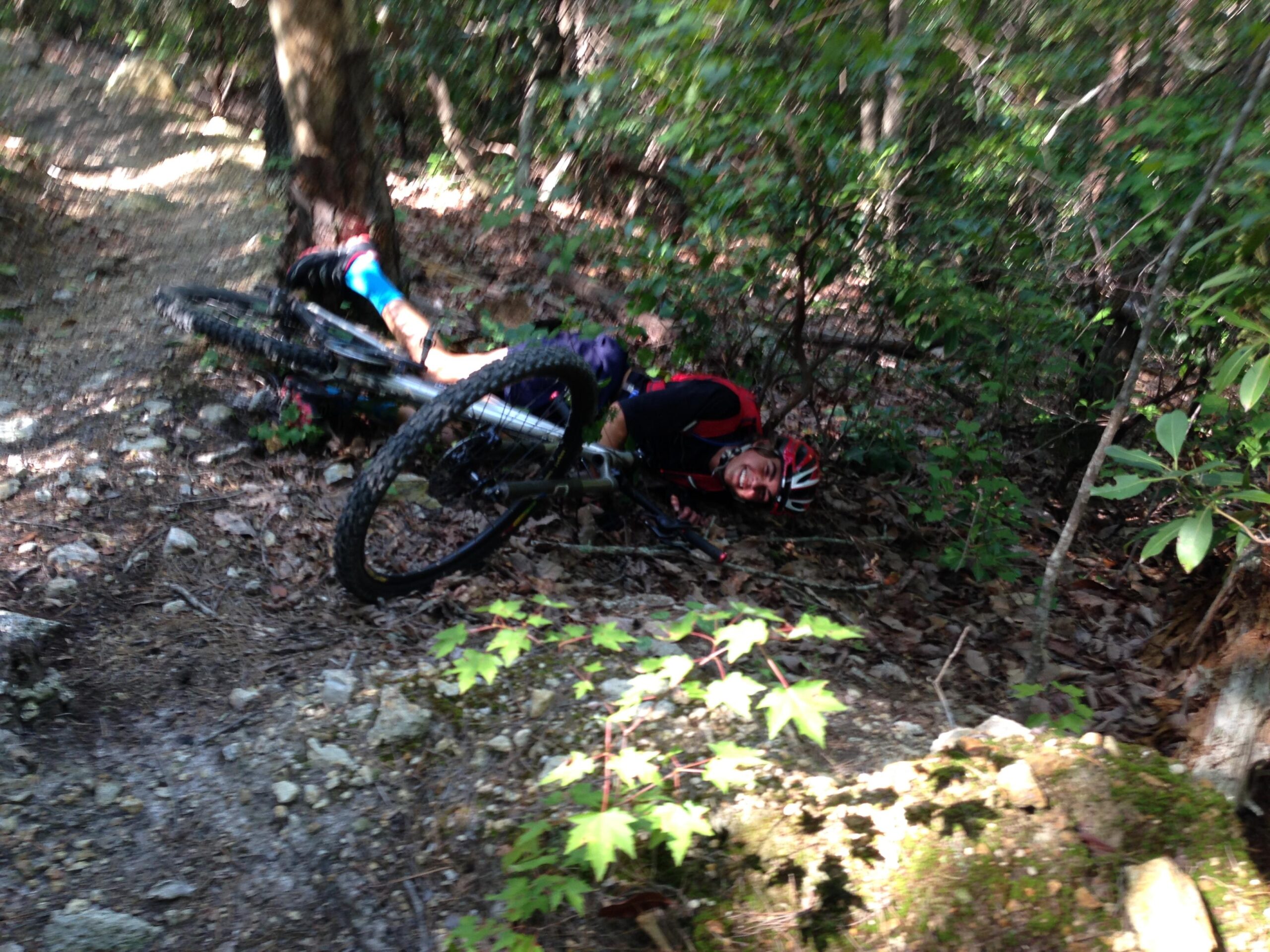 Motobecane Sturgis Bullet: A mountain biker lying on the ground next to a fallen bicycle, surrounded by trees and foliage on a dirt trail. The cyclist appears to be smiling despite the situation, indicating a lighthearted moment during a ride.