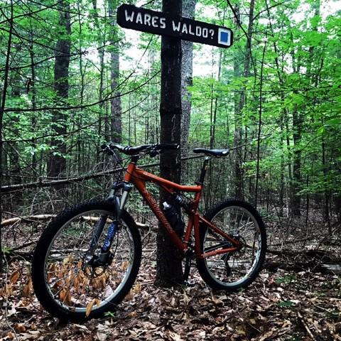 Santa Cruz Blur LT: An orange mountain bike parked next to a sign on a tree that reads "WARES WALDO?" in a dense forest with green foliage and fallen leaves.