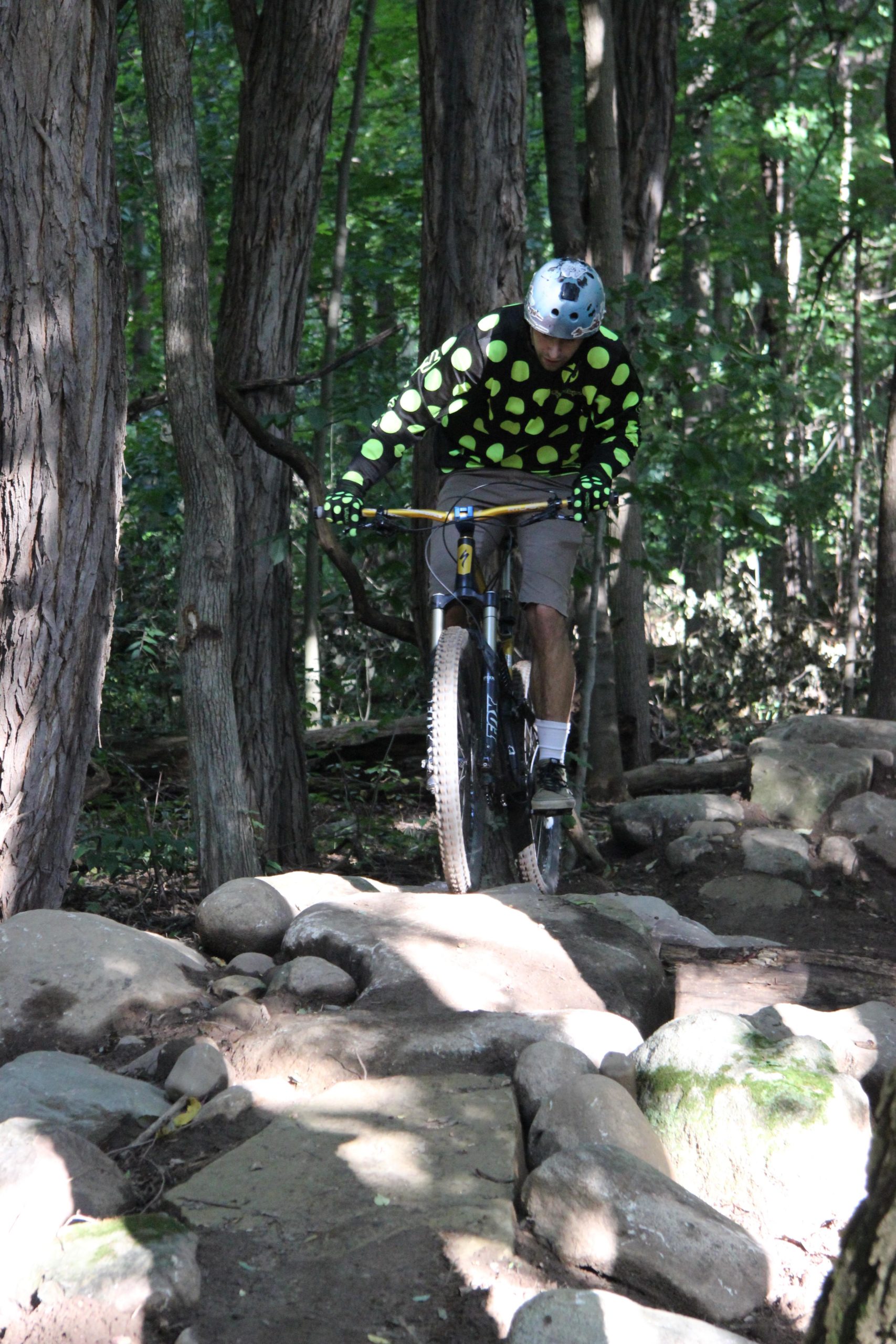 A mountain biker in a bright, polka-dotted long-sleeve shirt navigates over rocky terrain in a forested area, surrounded by trees and dappled sunlight. Maple Hill mountain bike trail.
