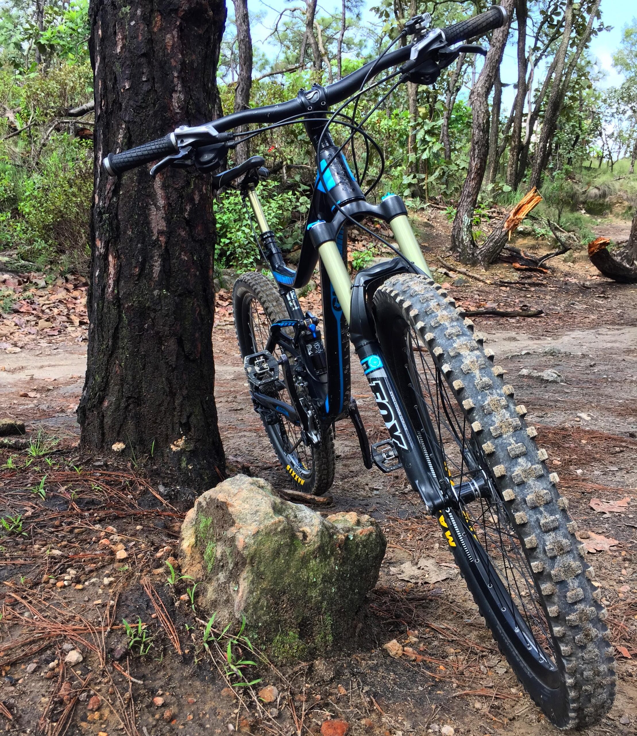 Giant Trance 27.5 2: A mountain bike propped against a tree trunk on a dirt trail, surrounded by greenery and scattered rocks. The bike features a sturdy frame and thick tires, ideal for rugged terrain. Sunlight filters through the trees, illuminating the scene.