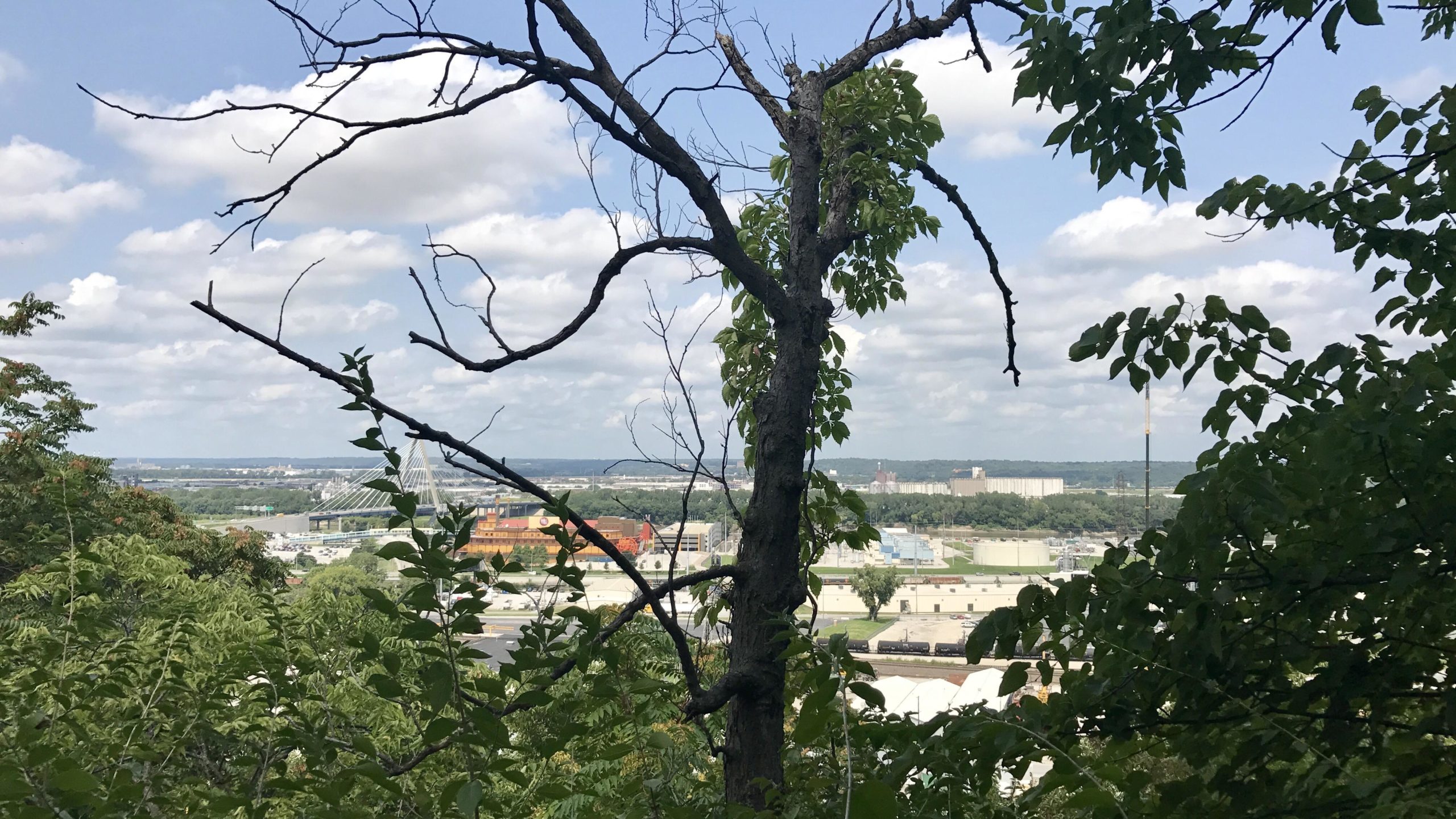 A view of a landscape with a bare tree in the foreground, partially obscured by leaves, overlooking a cityscape with industrial buildings and a bridge in the distance under a partly cloudy sky. Lozier's Lane mountain bike trail.