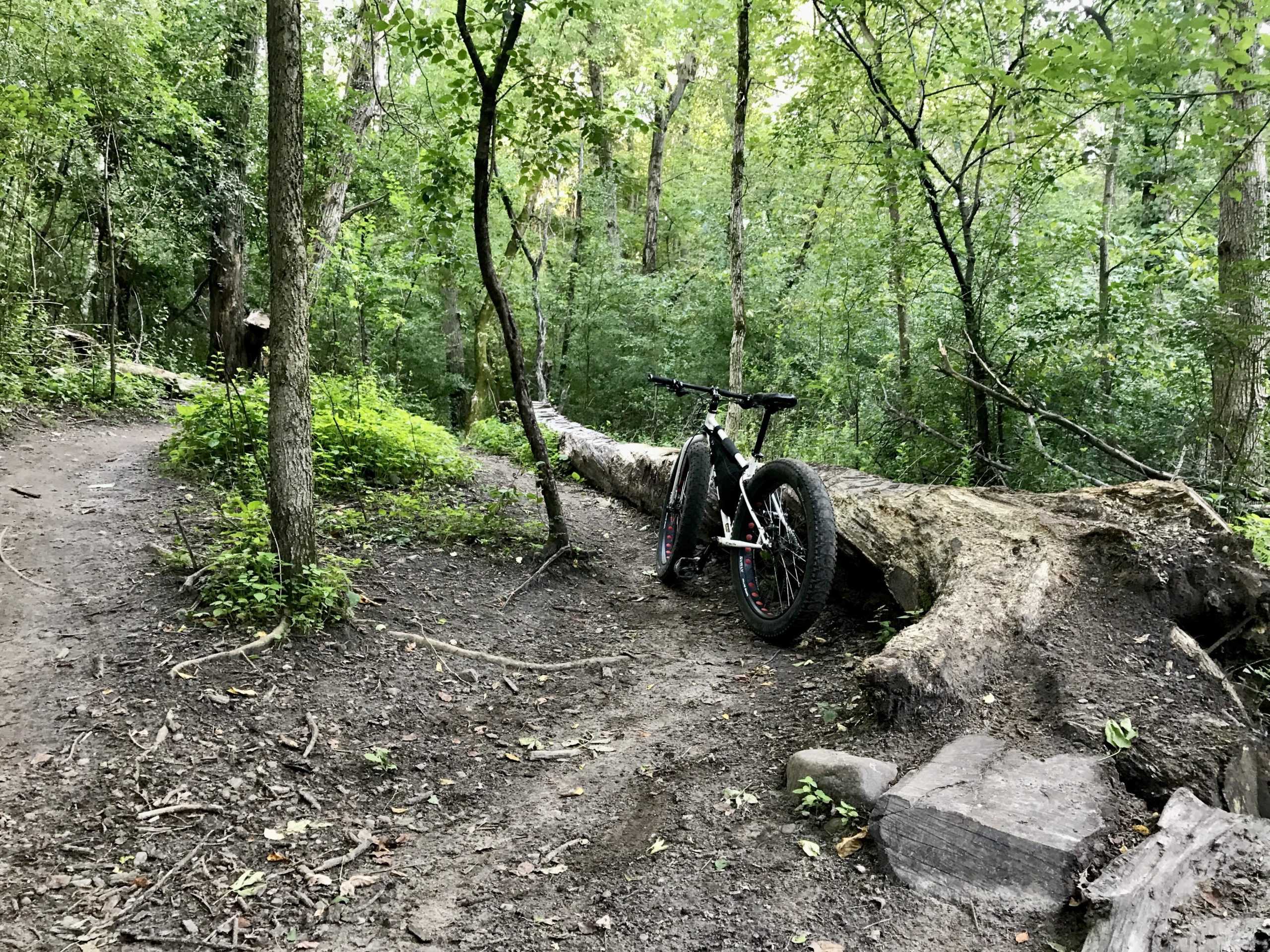 Fat bike leaning against a fallen log along a winding dirt trail in a lush green forest. Trees and foliage surround the path, creating a serene and natural atmosphere. Lebanon Hills mountain bike trail.