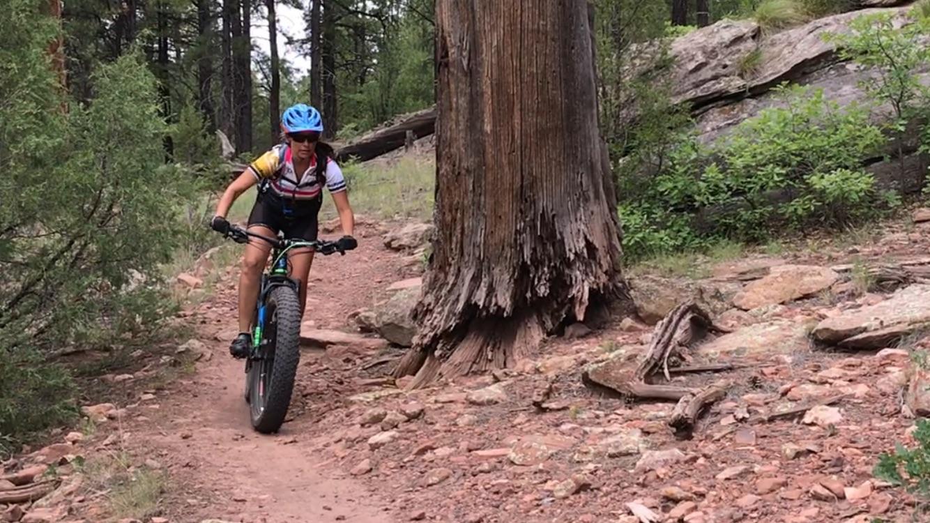 A person riding a fat bike on a rocky trail in a forested area, with tall trees and large rocks in the background. The rider is wearing a blue helmet and a colorful cycling jersey, focused on navigating the terrain. Hilso Mountain Bike Trail mountain bike trail.
