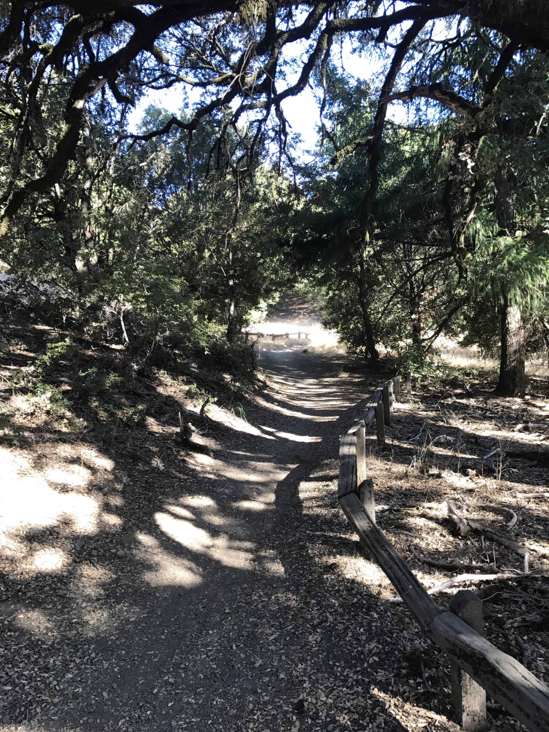 A winding dirt path through a wooded area, bordered by a wooden fence. Sunlight filters through the tree canopy, creating dappled shadows on the ground. The trail leads towards a clearing in the distance. Saratoga Gap mountain bike trail.