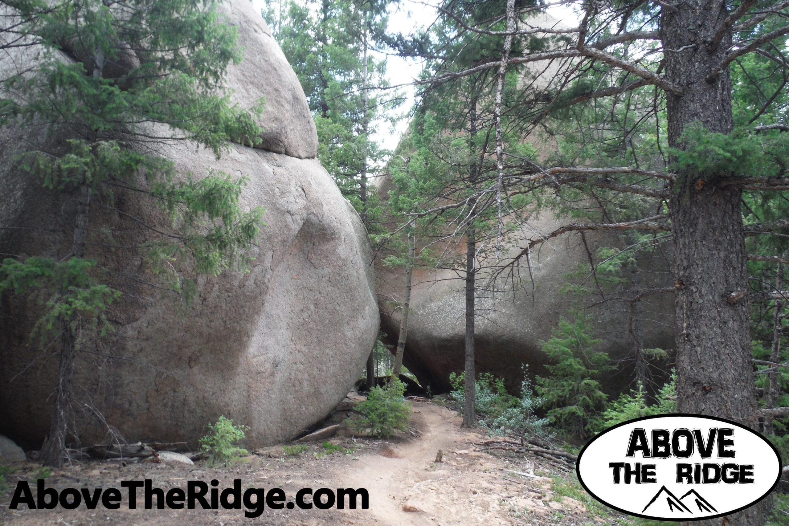 Two large boulders frame a narrow dirt pathway surrounded by trees in a forested area. The ground is covered with pine needles and small plants, creating a natural hiking scene. The image includes a logo with the text "Above The Ridge" at the bottom right. Little Scraggy mountain bike trail.
