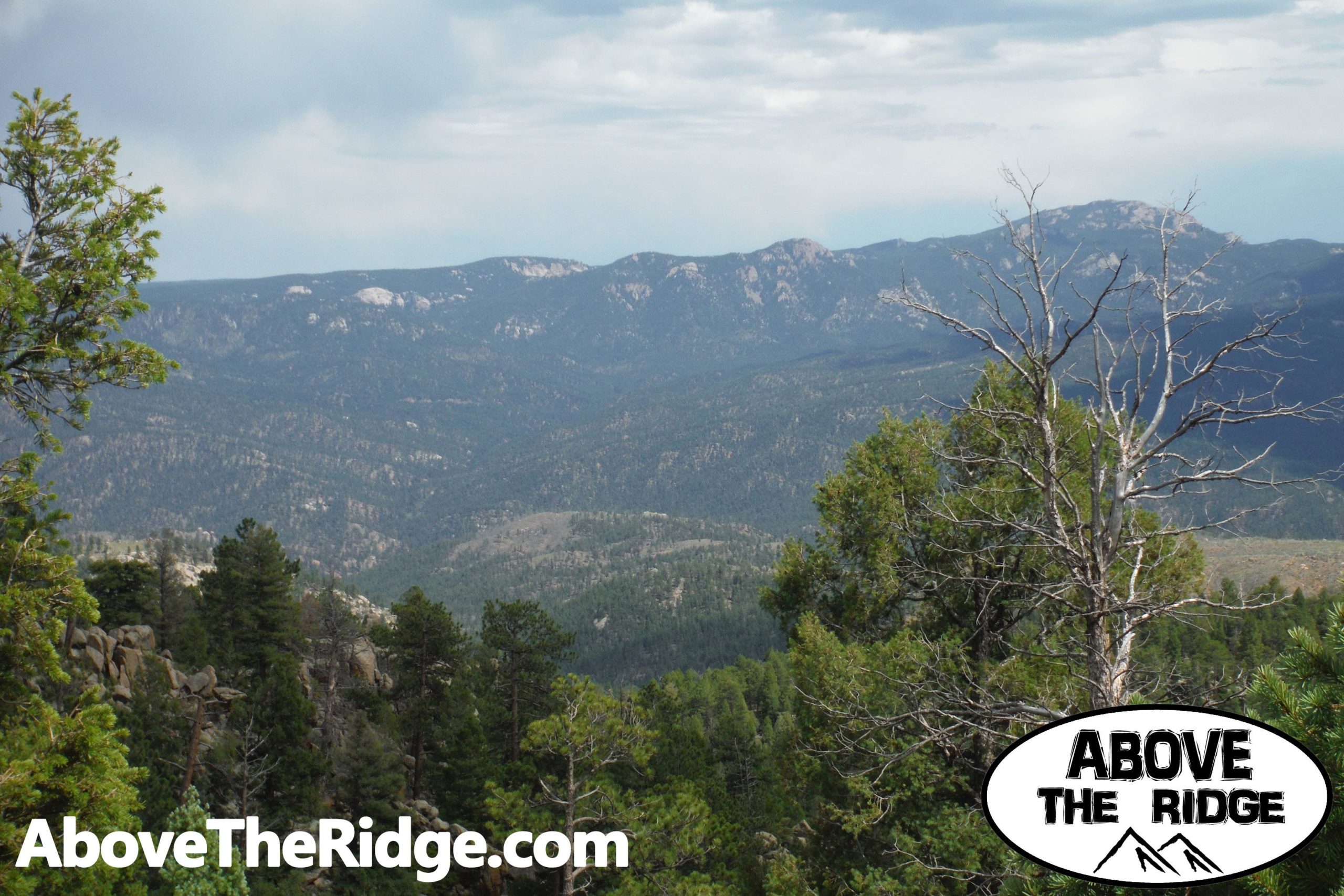 A panoramic view of a mountainous landscape featuring rolling hills and dense forests, under a cloudy sky. In the foreground, there's a mix of green trees and a bare tree, with rugged rock formations visible. The image includes a logo for "Above The Ridge" at the bottom right corner. Little Scraggy mountain bike trail.
