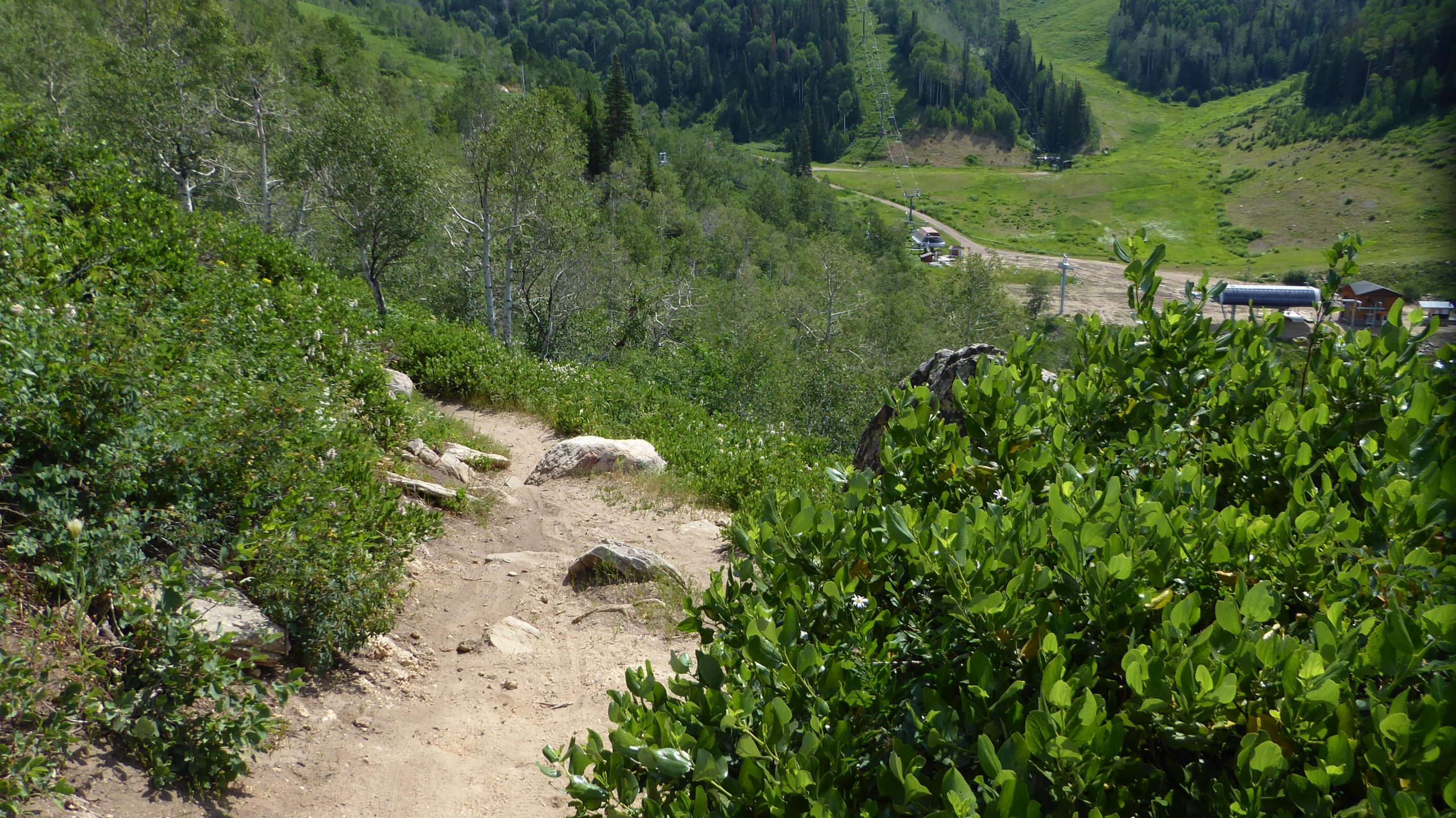 A dirt hiking path winds through lush green vegetation on a hillside, descending towards a valley with trees and open fields. In the distance, a ski lift and a small building are visible along a road. The scene is sunny and vibrant, showcasing the natural beauty of the landscape. Elkhead Loop mountain bike trail.