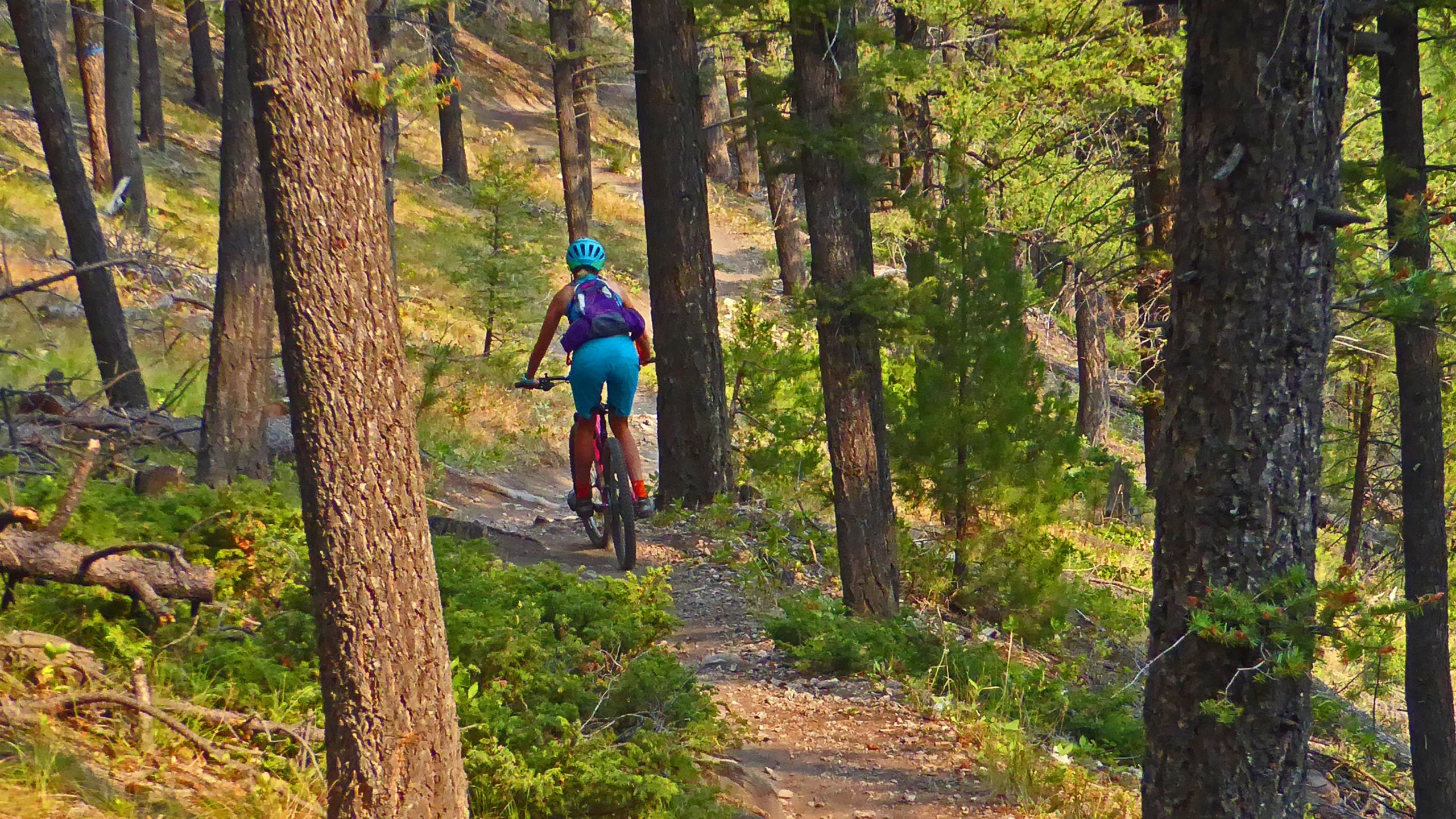 A person riding a mountain bike along a dirt trail surrounded by trees in a forested area. The cyclist is wearing a helmet and colorful clothing while navigating a winding path through lush greenery and soft sunlight filtering through the trees. Entertainment mountain bike trail.