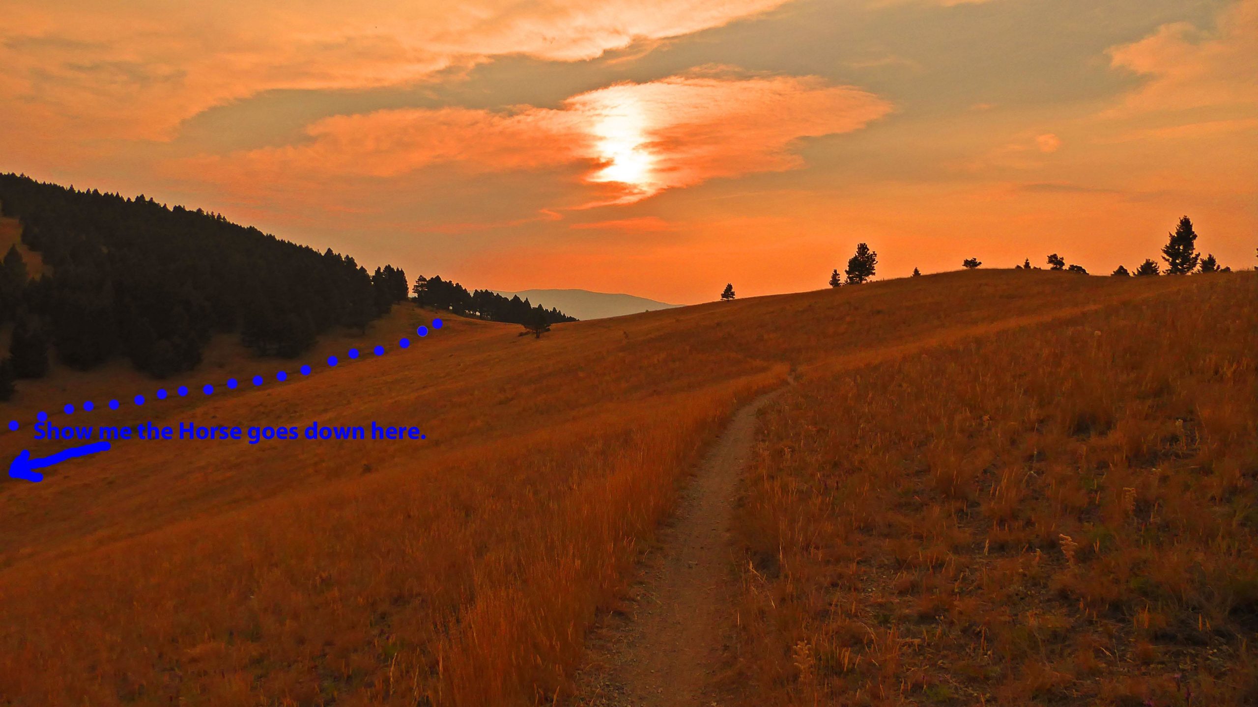 A scenic landscape featuring a gently winding dirt path leading through tall, golden grass. In the background, a sunset casts an orange hue over the sky, with silhouettes of trees and distant hills. There are arrows and text on the image indicating a trail for a horse. Show Me the Horse mountain bike trail.