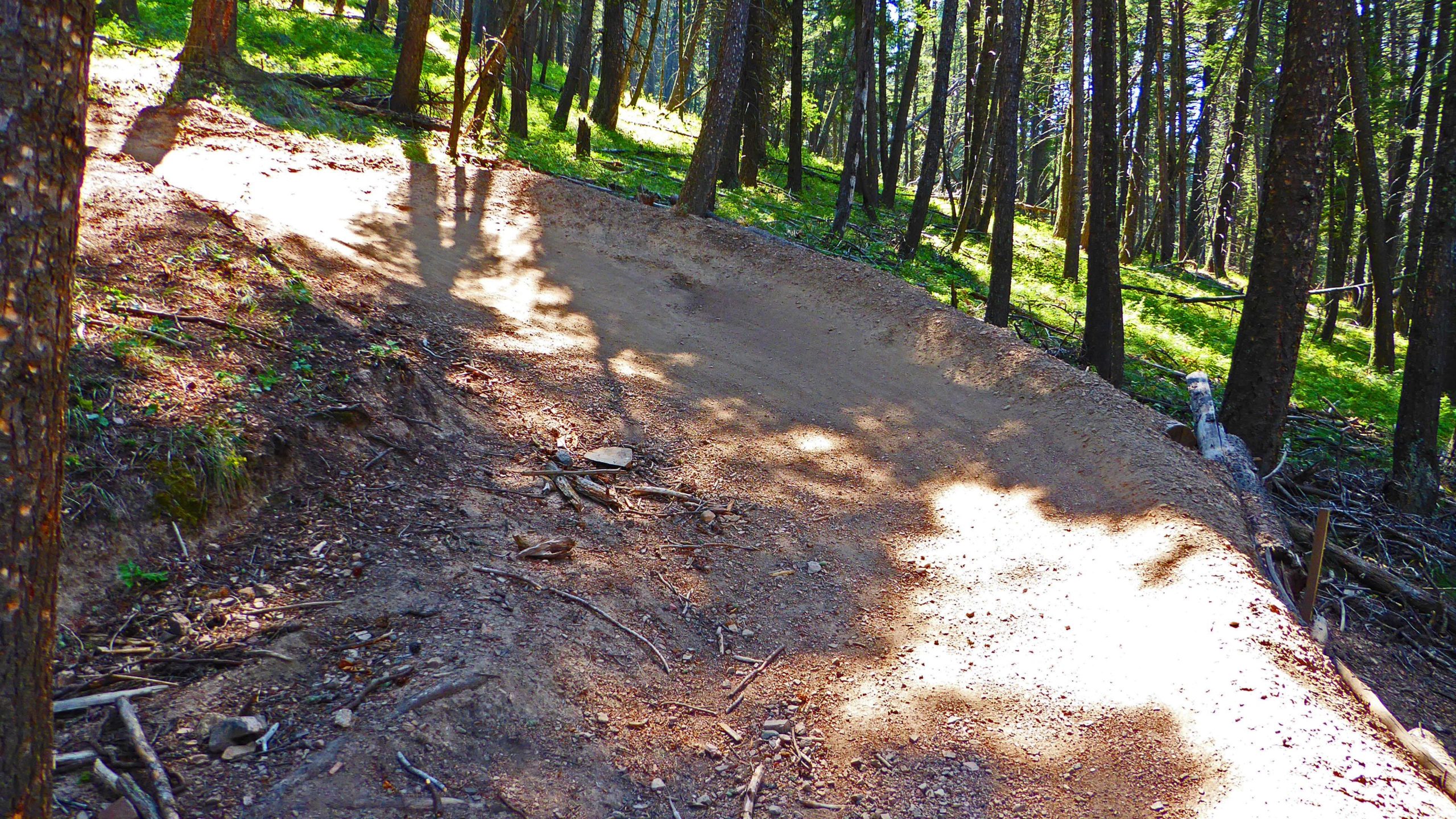 A dirt biking trail winding through a forest, surrounded by tall trees and patches of sunlight illuminating the ground. The trail curves gently to the right, with natural debris scattered along the path. Leverich Trail mountain bike trail.