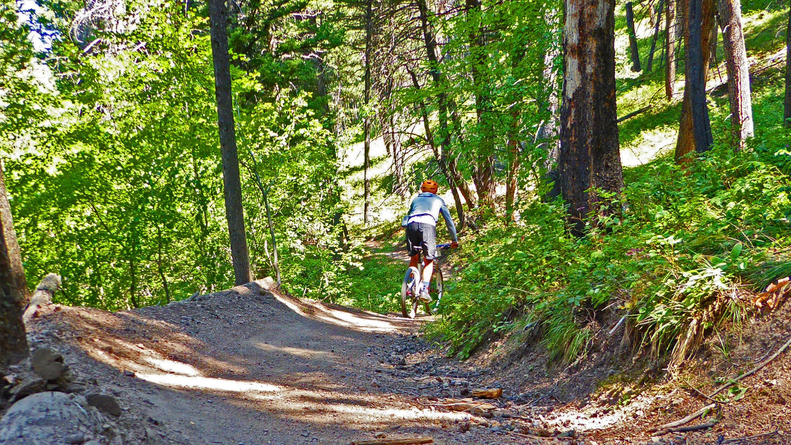 A biker riding down a dirt trail surrounded by lush green trees in a forested area. The sun filters through the foliage, creating a bright and inviting atmosphere. Leverich Trail mountain bike trail.