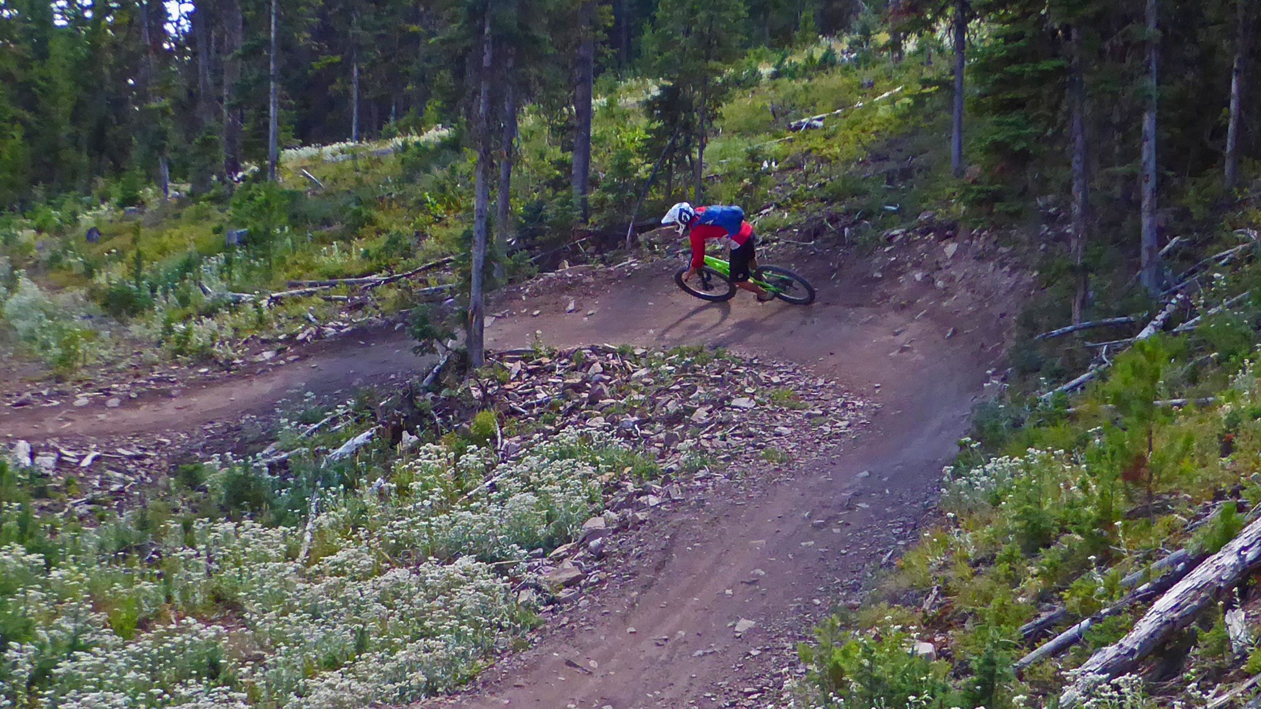 A mountain biker leans into a turn on a dirt trail surrounded by trees and wildflowers, showcasing an active outdoor scene in a forested setting. Snake Charmer mountain bike trail.