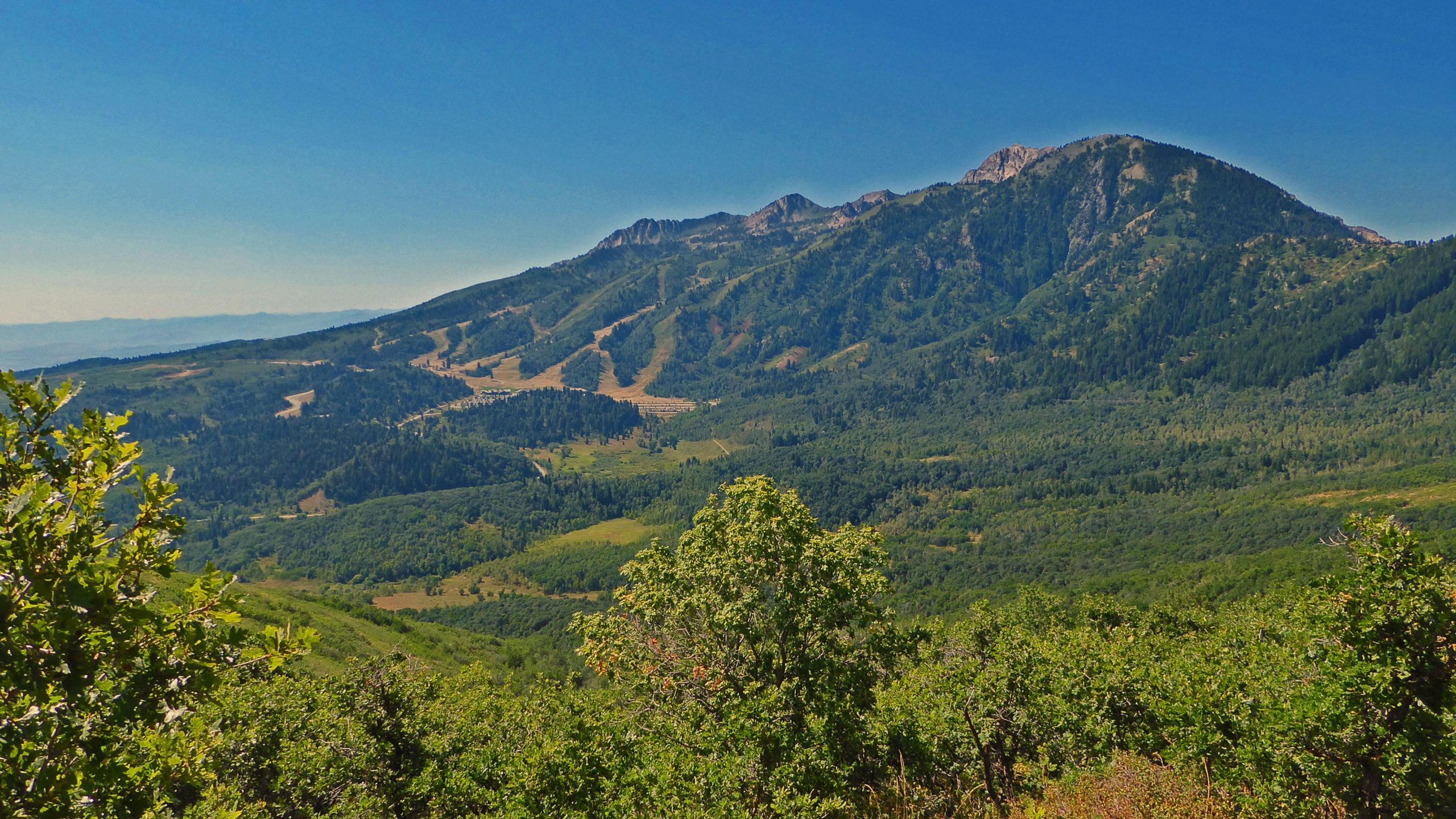 A scenic view of a mountainous landscape, featuring a prominent peak surrounded by lush green forests and rolling hills. The sky is clear and blue, highlighting the natural beauty of the area. Sardine Peak Loop mountain bike trail.